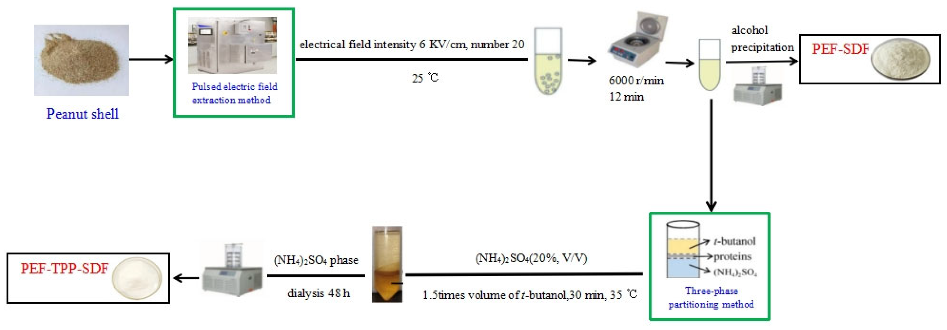 Molecules 29 01603 g006