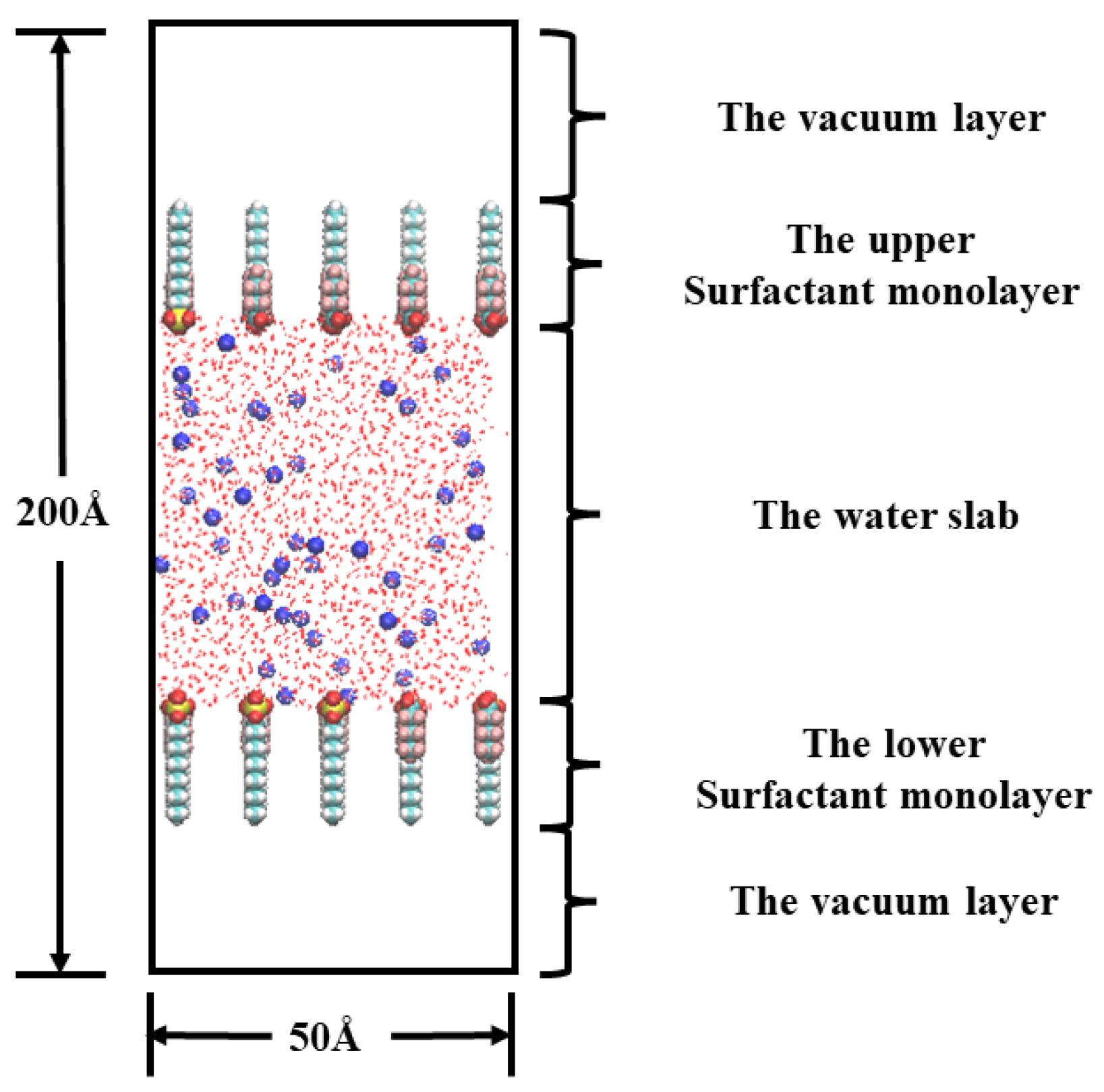 Molecules 29 01606 g012