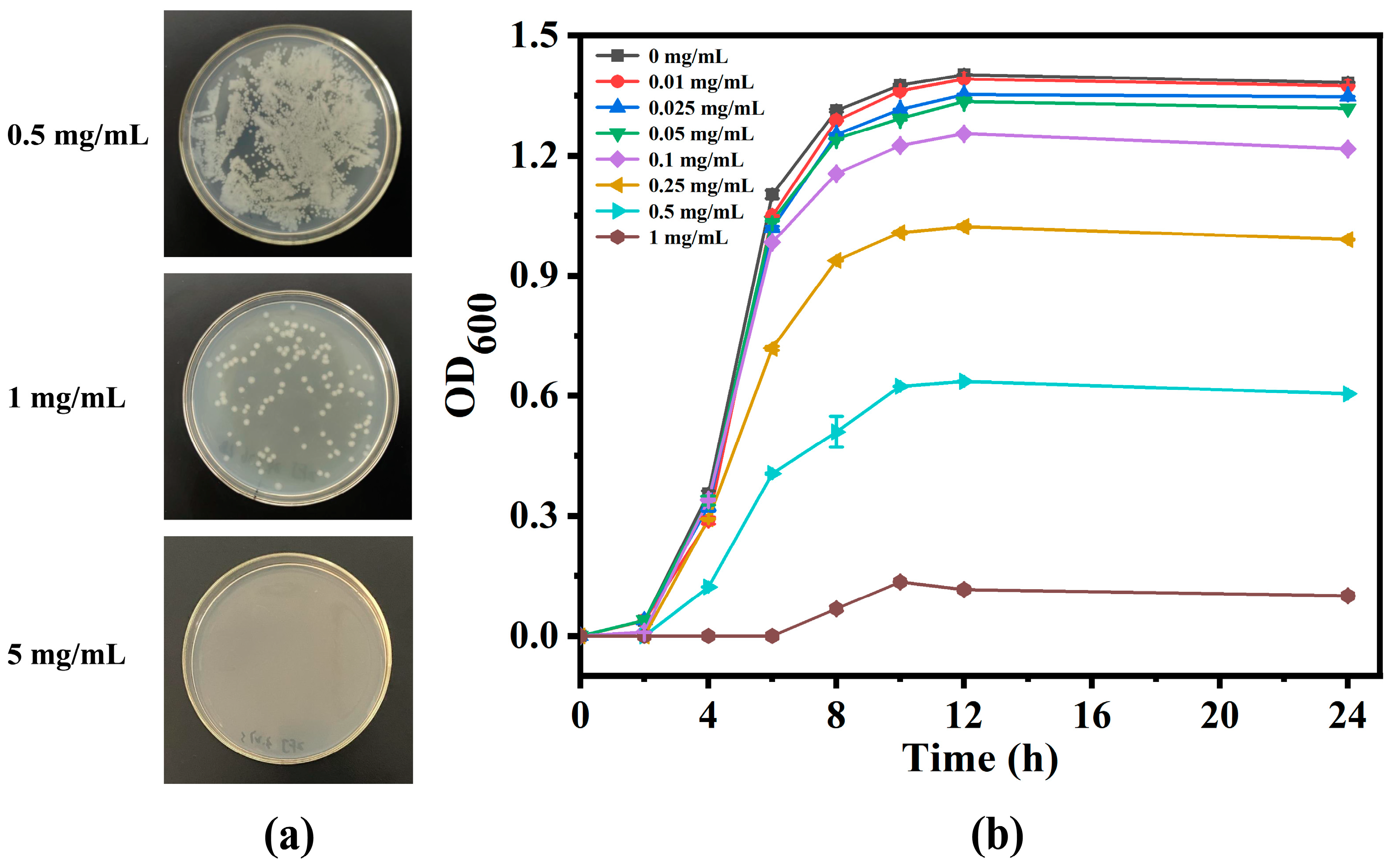 Molecules 29 01607 g005