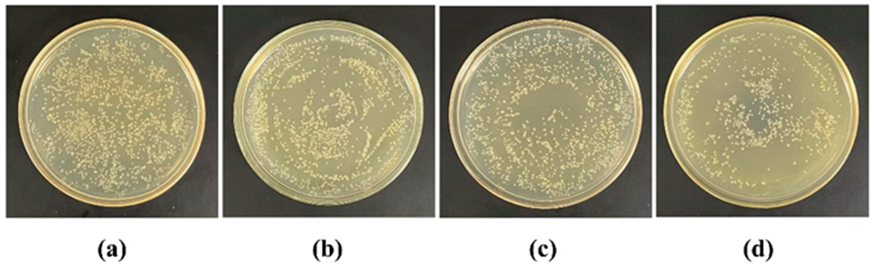 Molecules 29 01607 g006