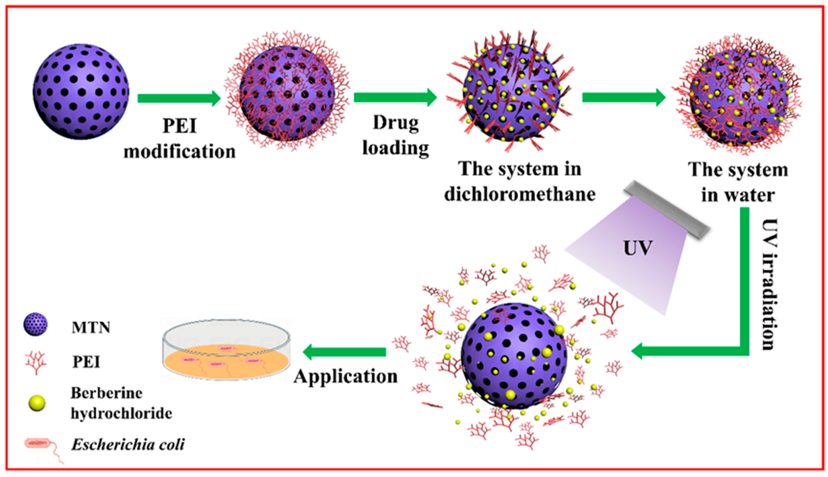 Molecules 29 01607 sch001