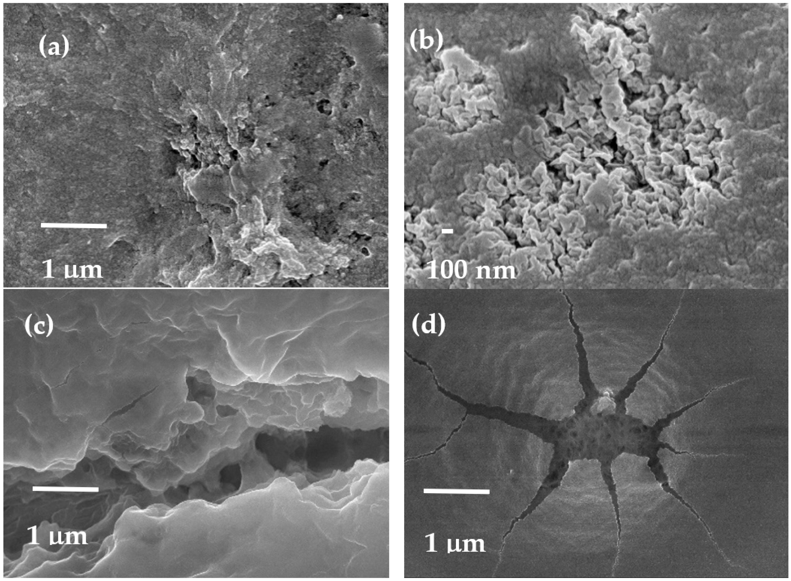 Molecules 29 01610 g002