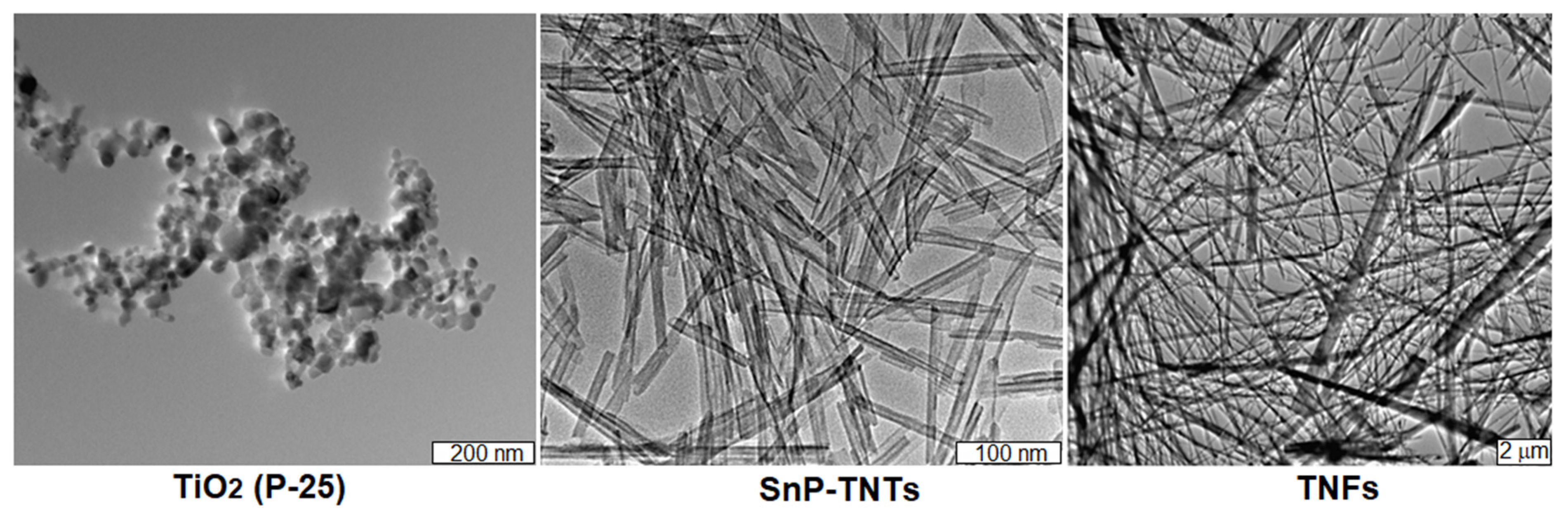 Molecules 29 01612 g006