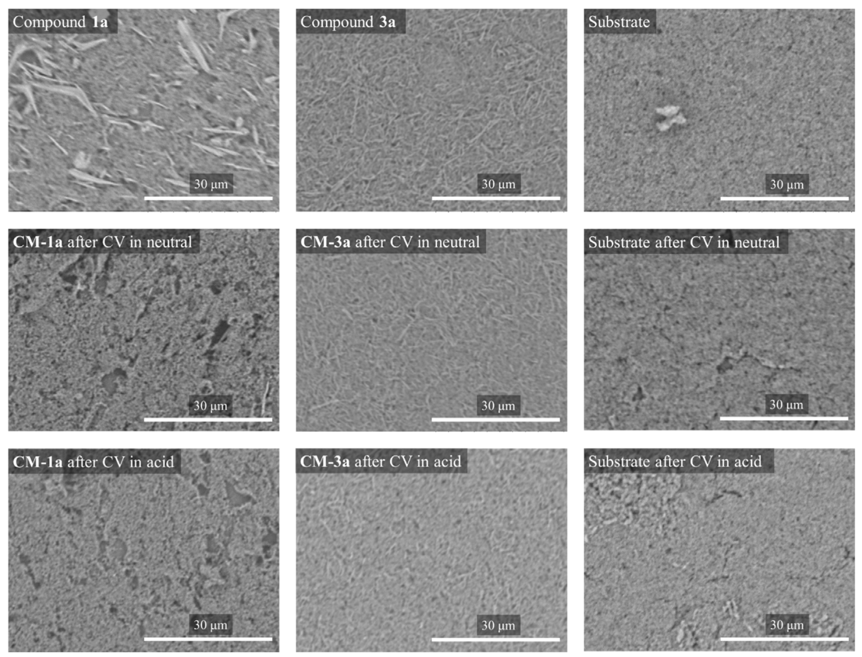 Molecules 29 01613 g008 Molecules 29 01613 g008