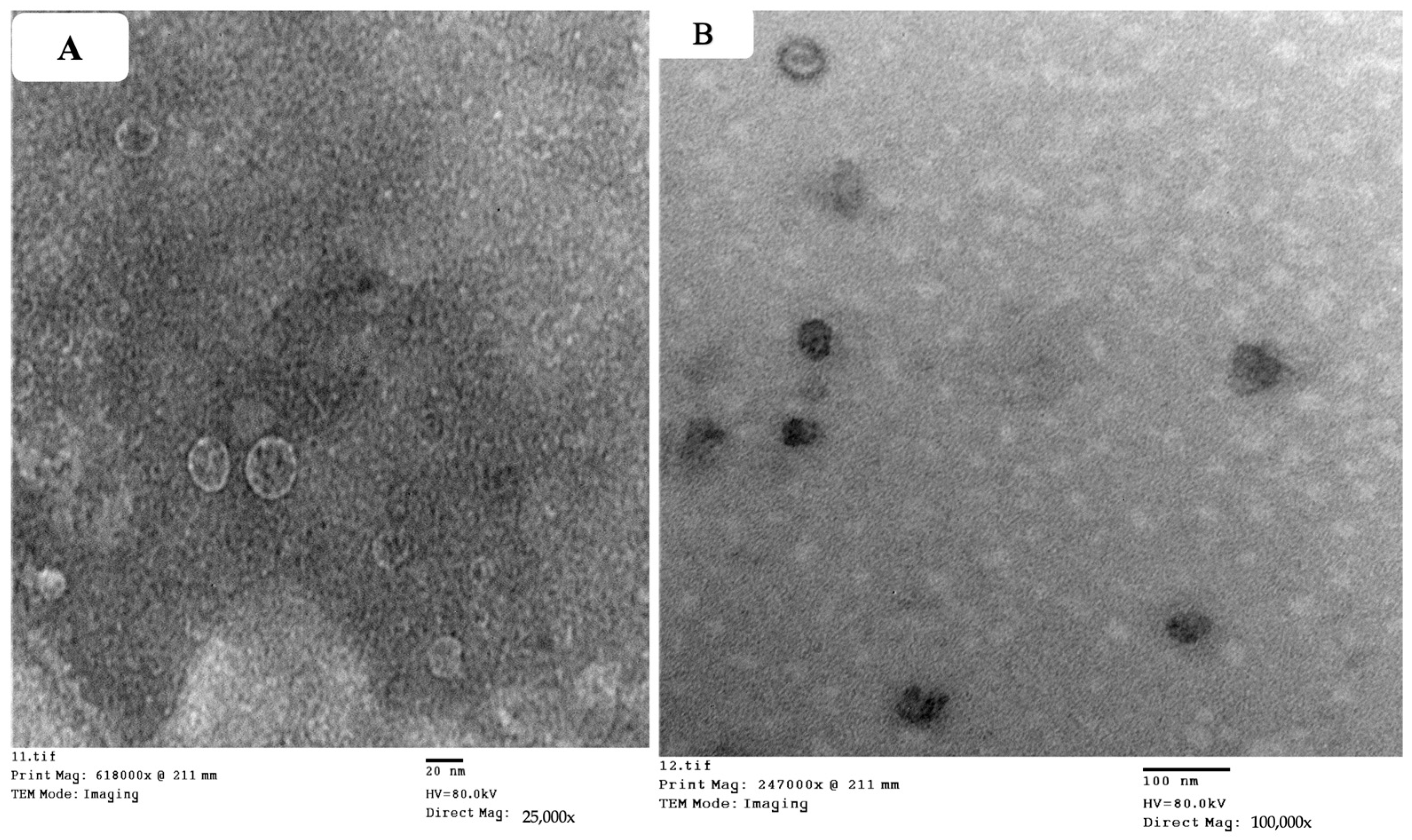 Molecules 29 01614 g003 Molecules 29 01614 g003
