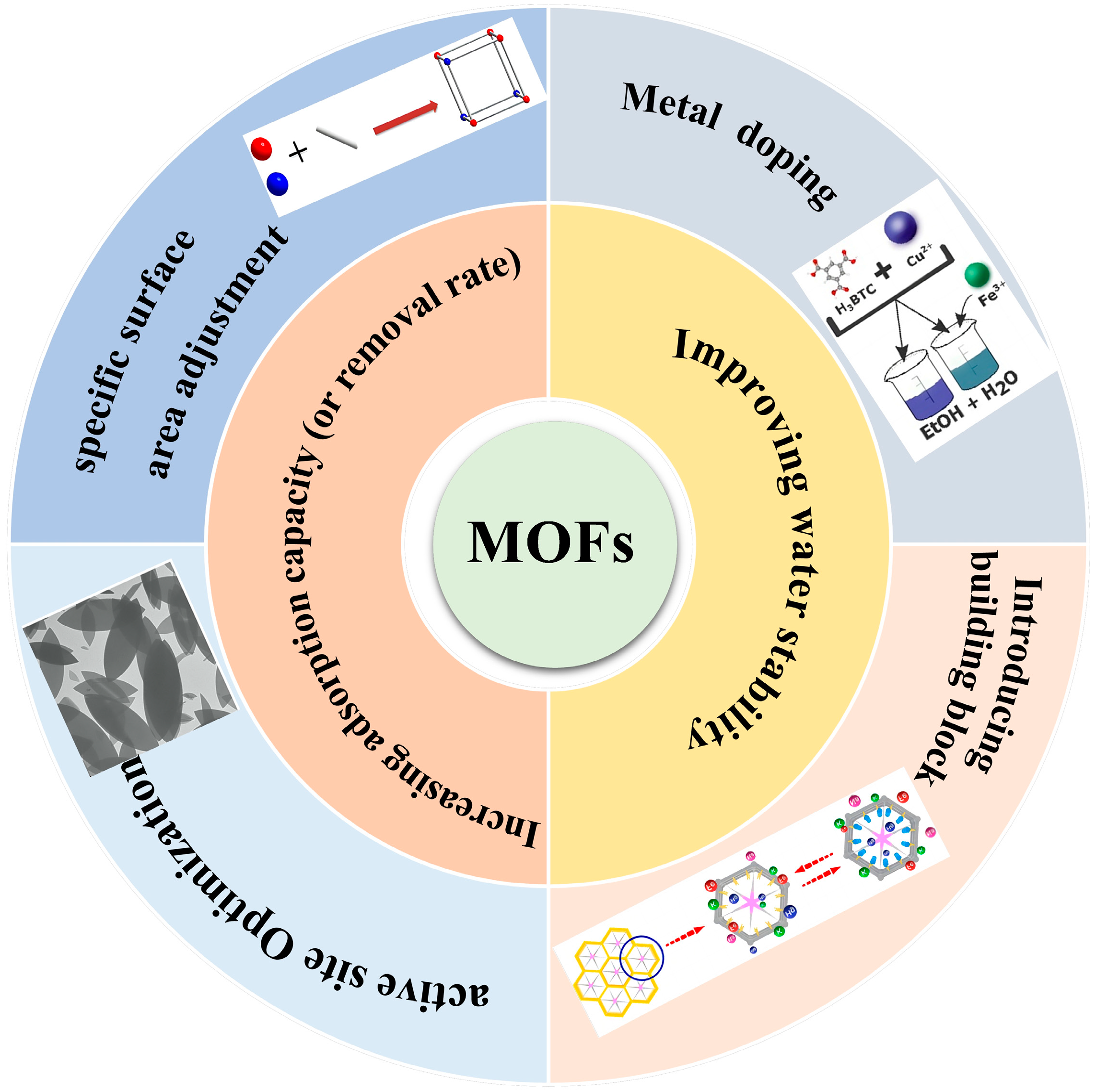 Molecules 29 01615 g002a