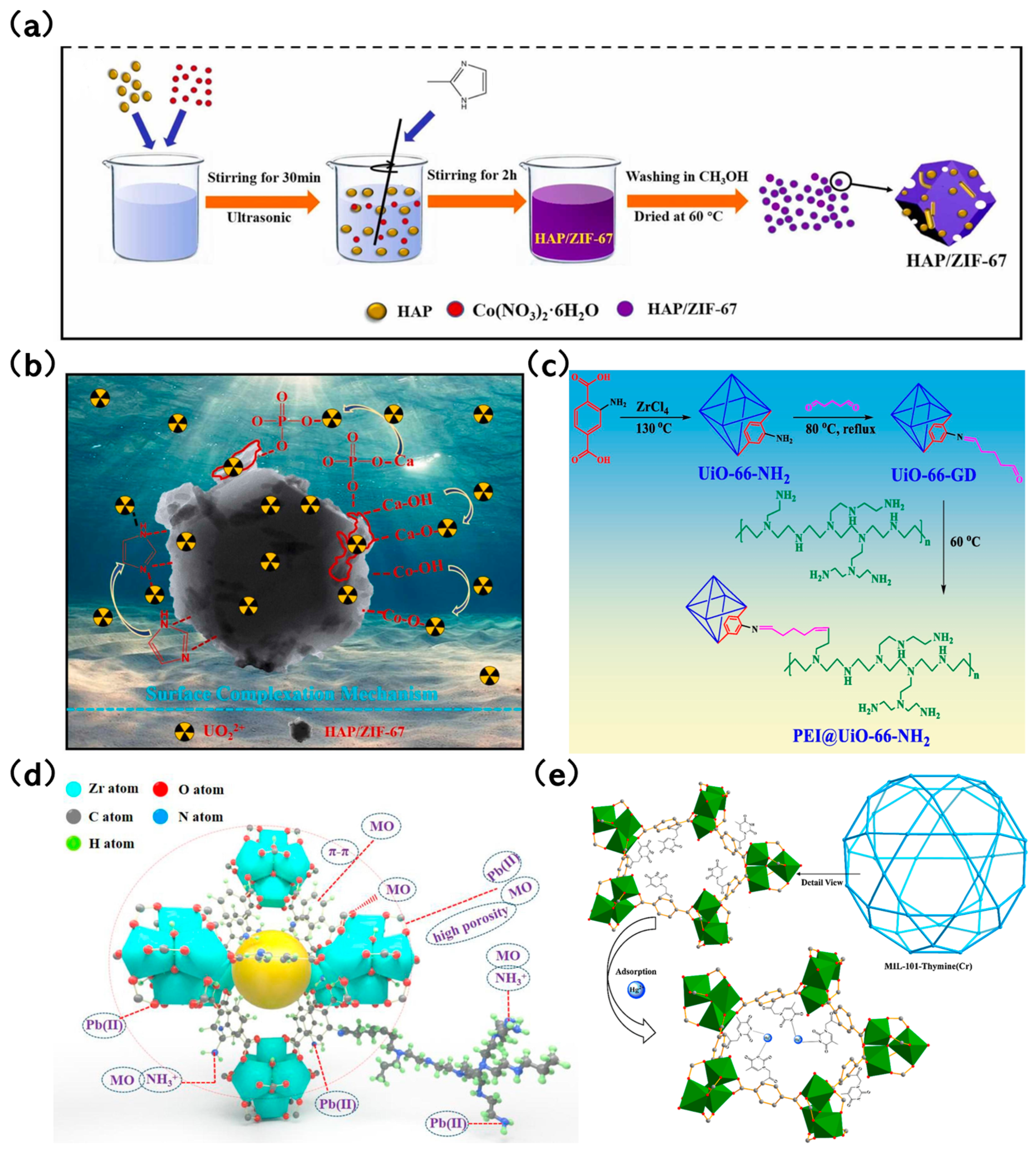 Molecules 29 01615 g005