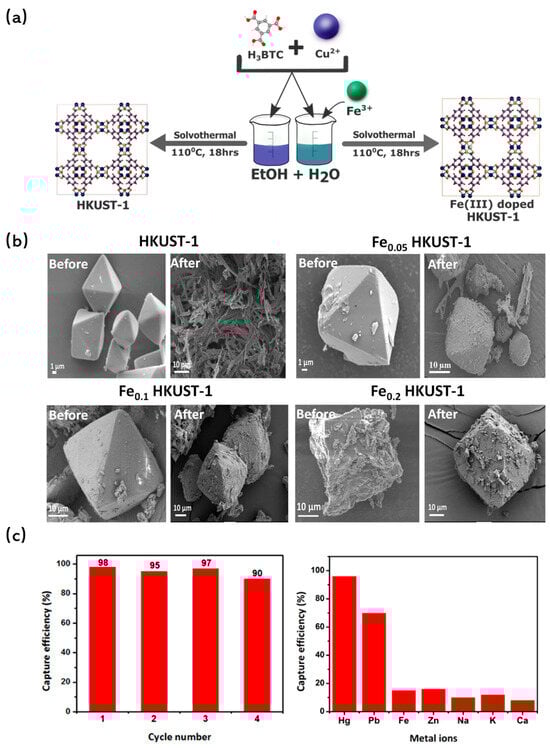 Molecules 29 01615 g007