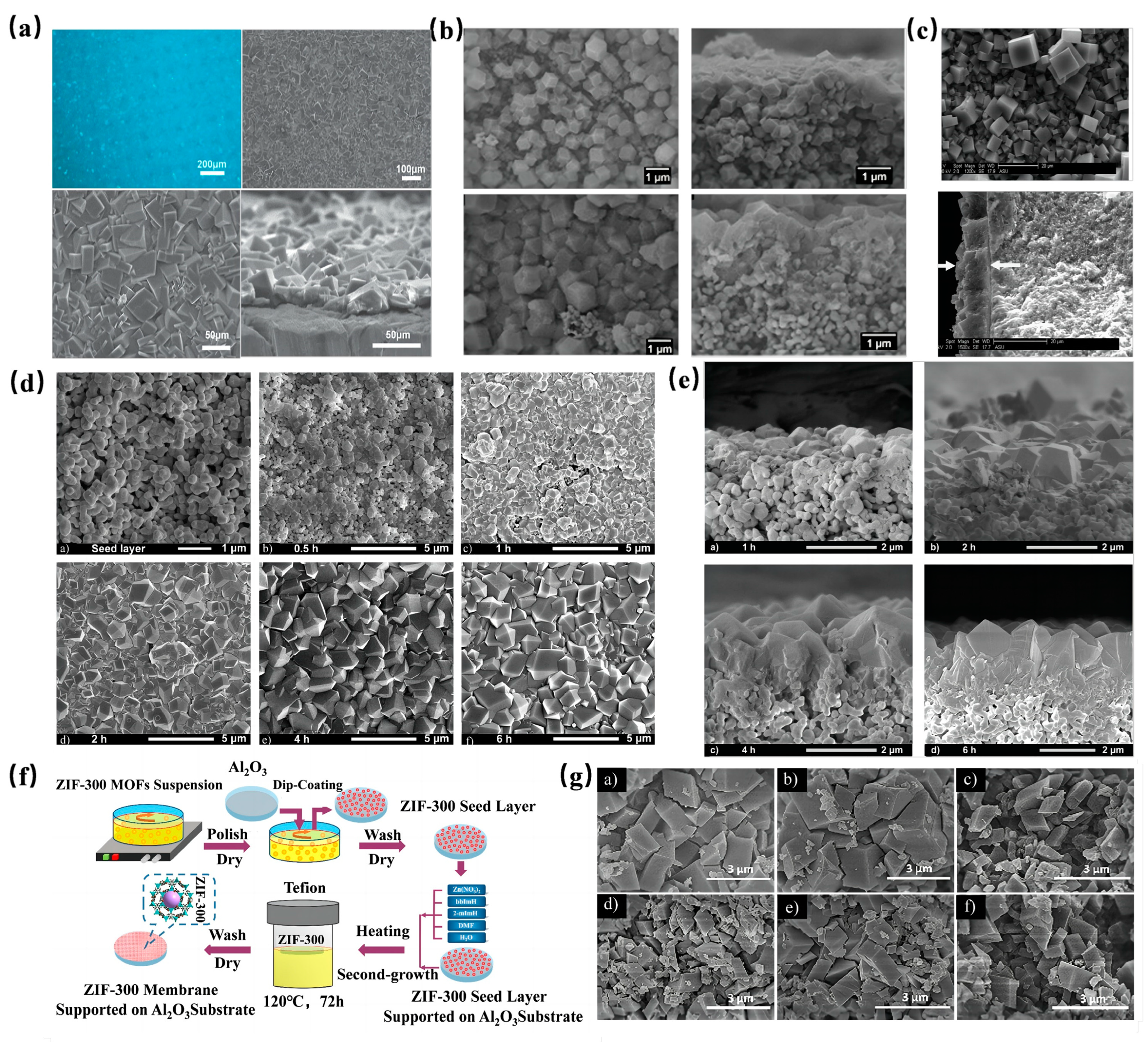 Molecules 29 01615 g008