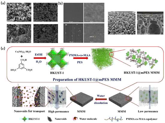 Molecules 29 01615 g009