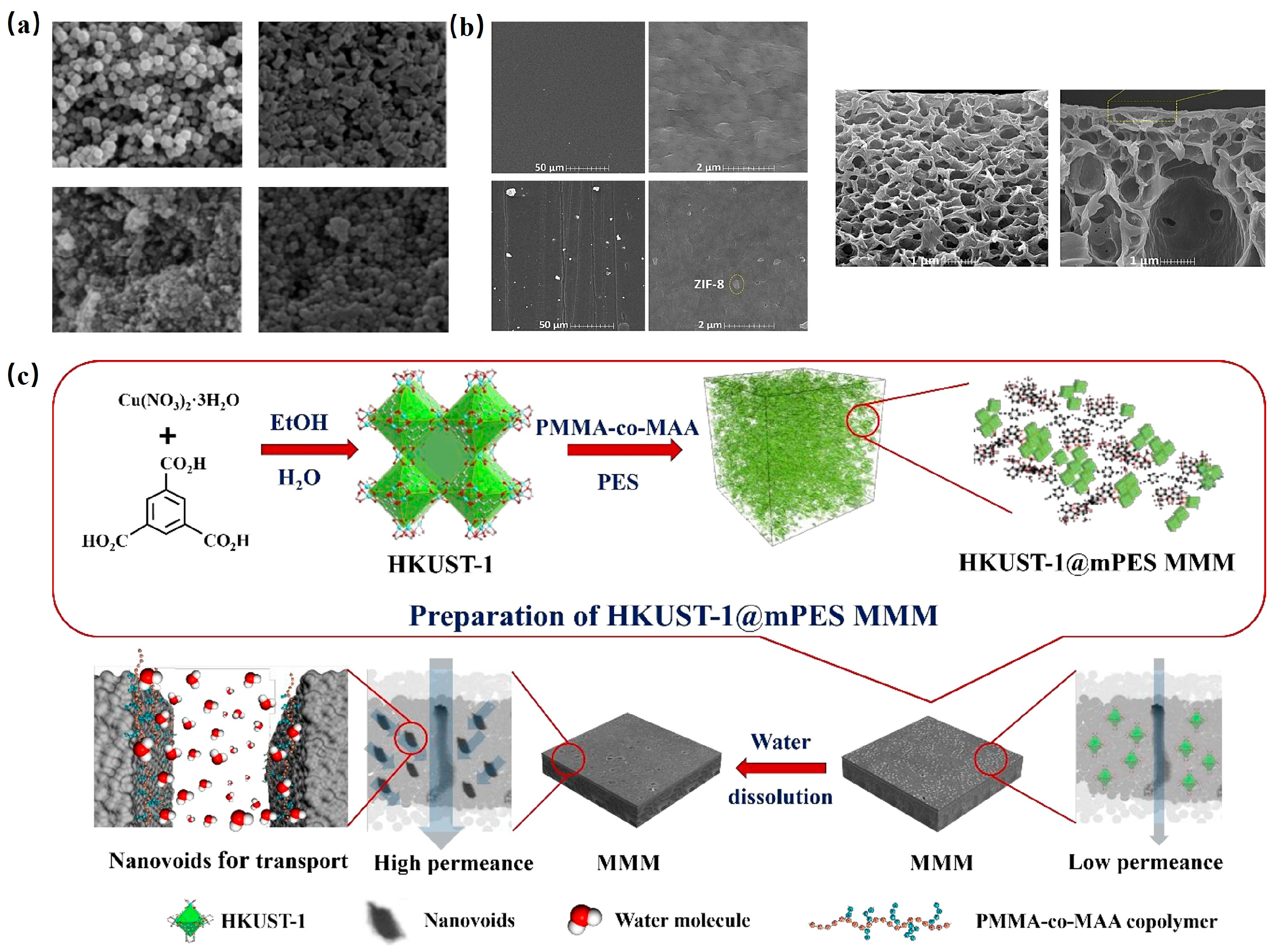 Molecules 29 01615 g009