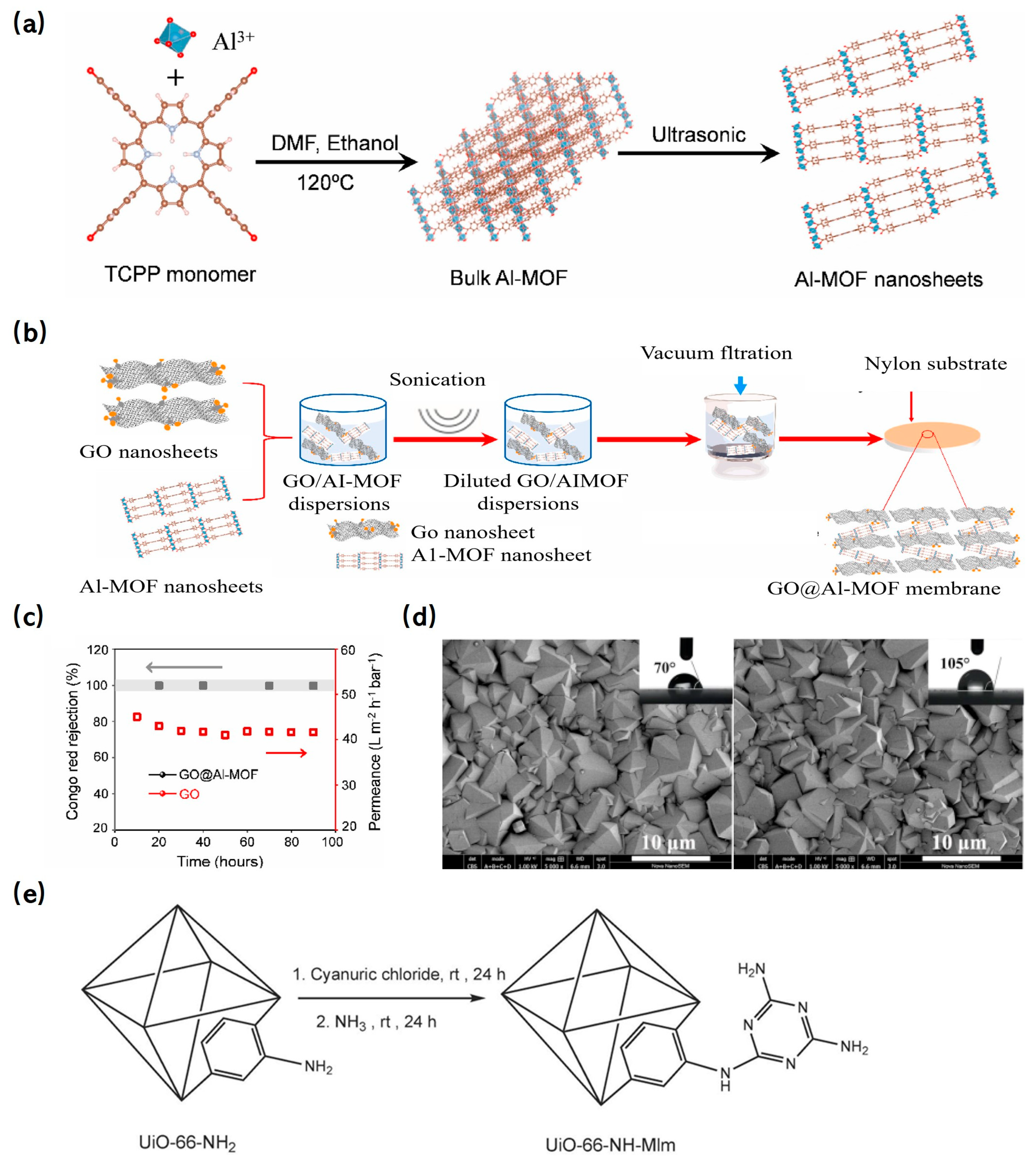 Molecules 29 01615 g011