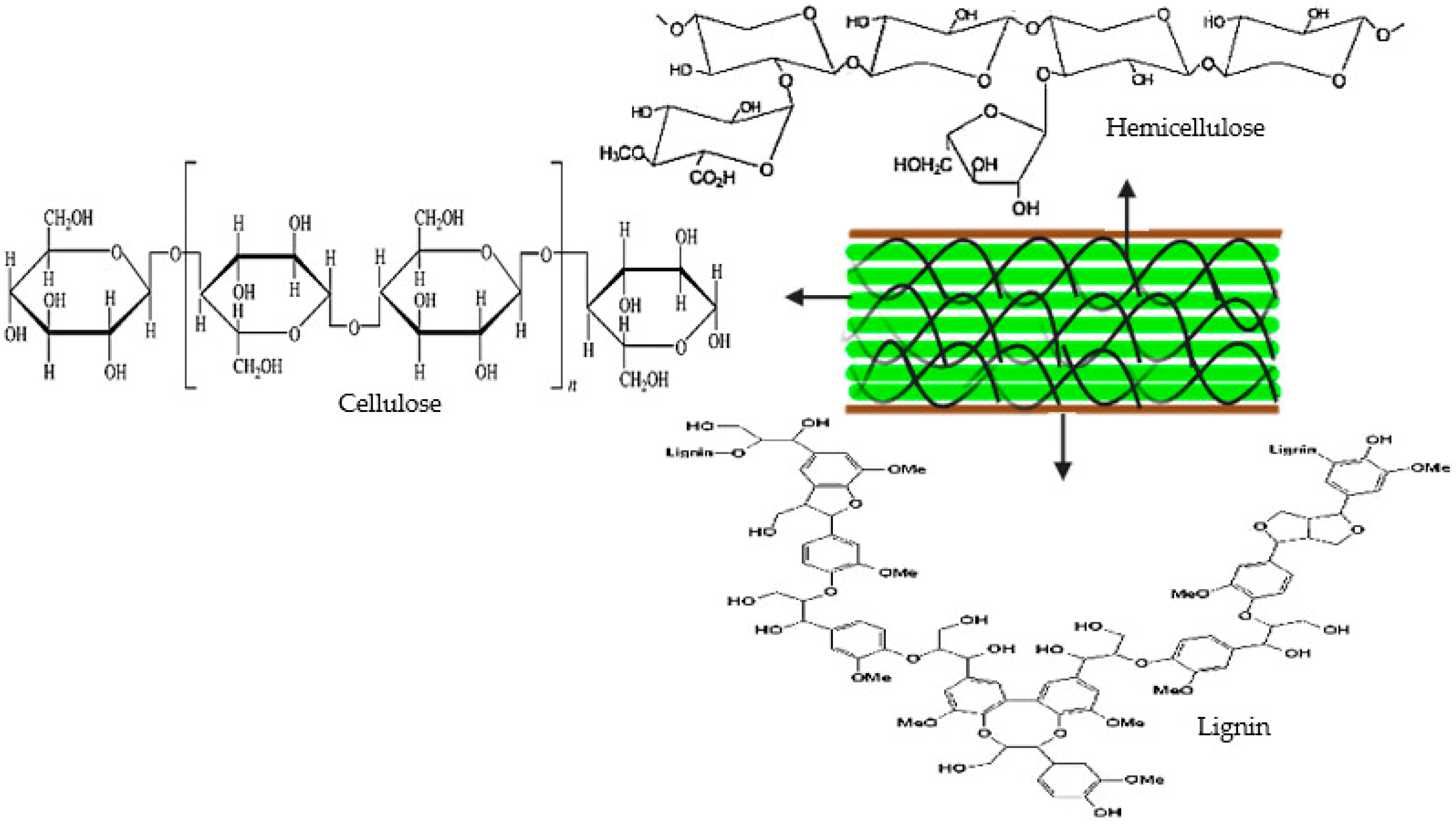 Molecules 29 01619 g001 Molecules 29 01619 g001