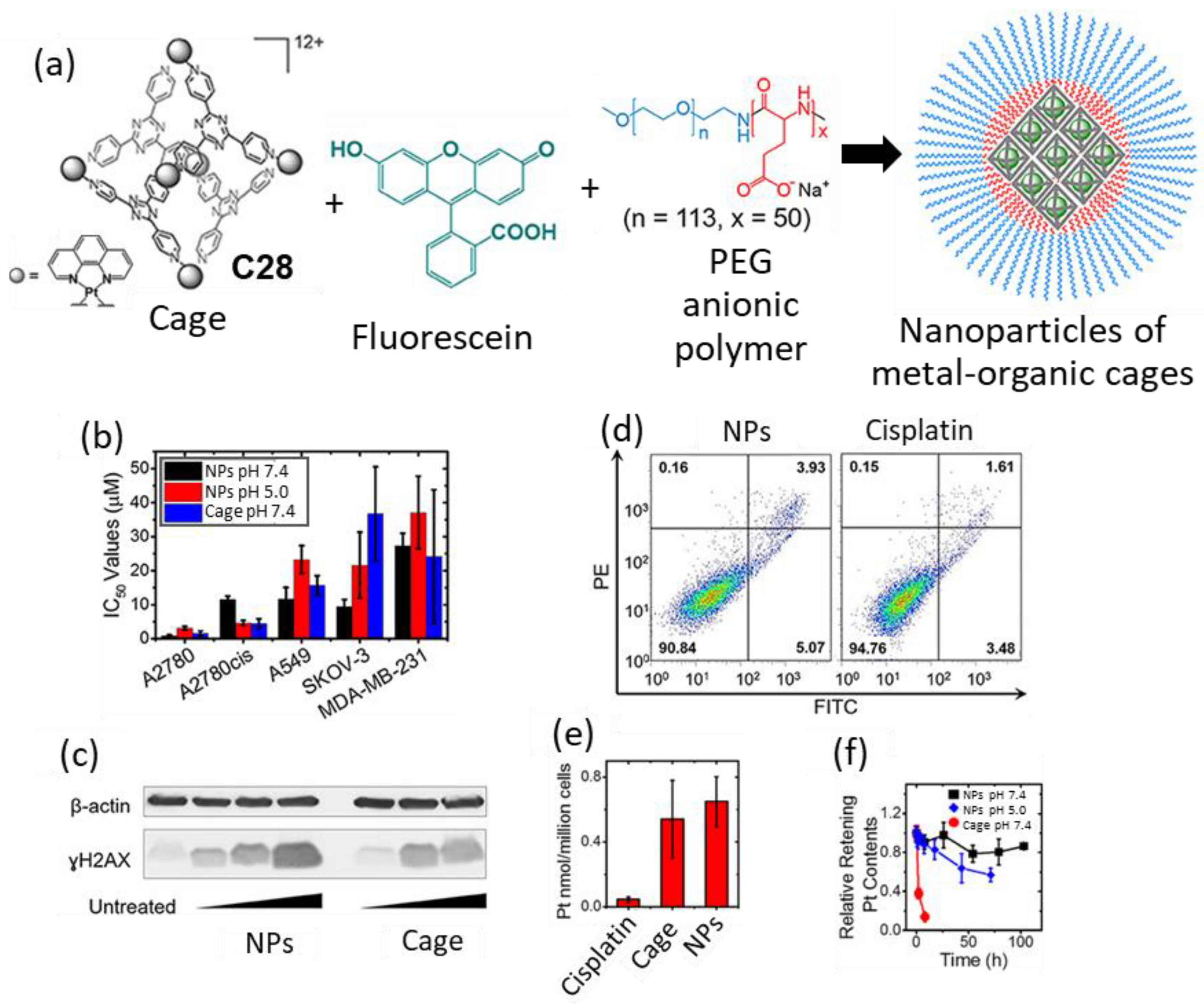 Molecules 29 01621 g015