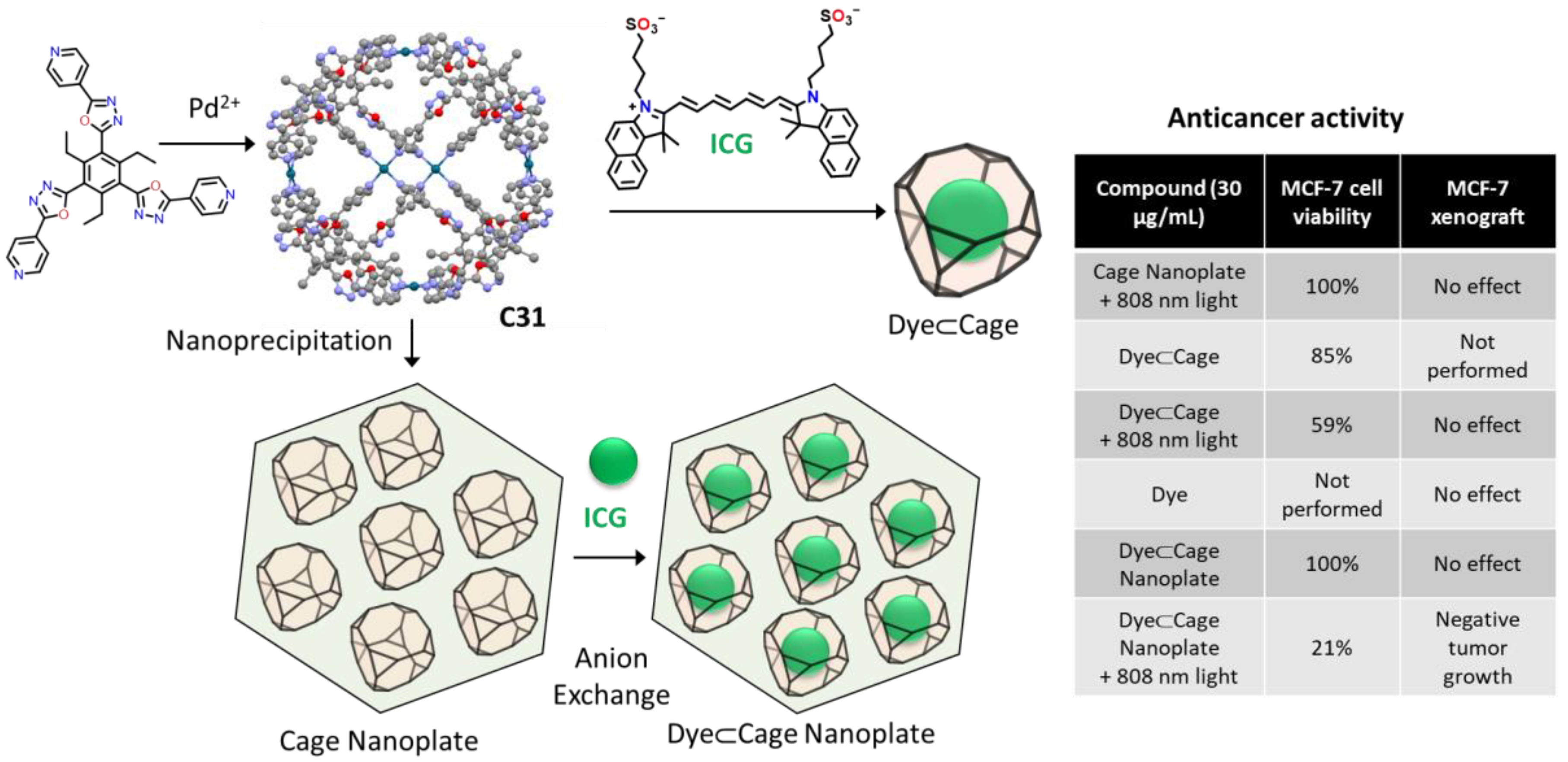 Molecules 29 01621 g018