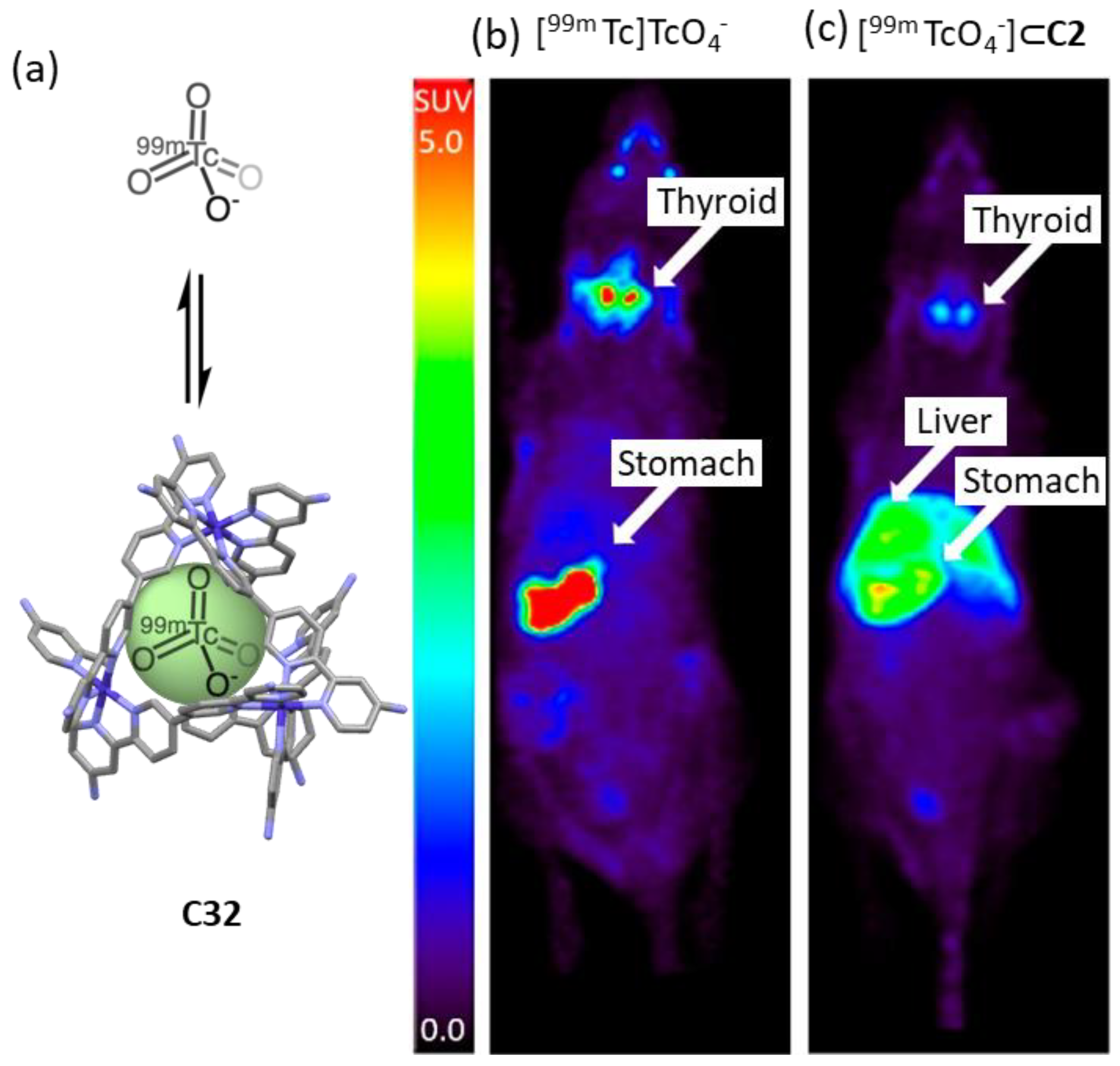 Molecules 29 01621 g019