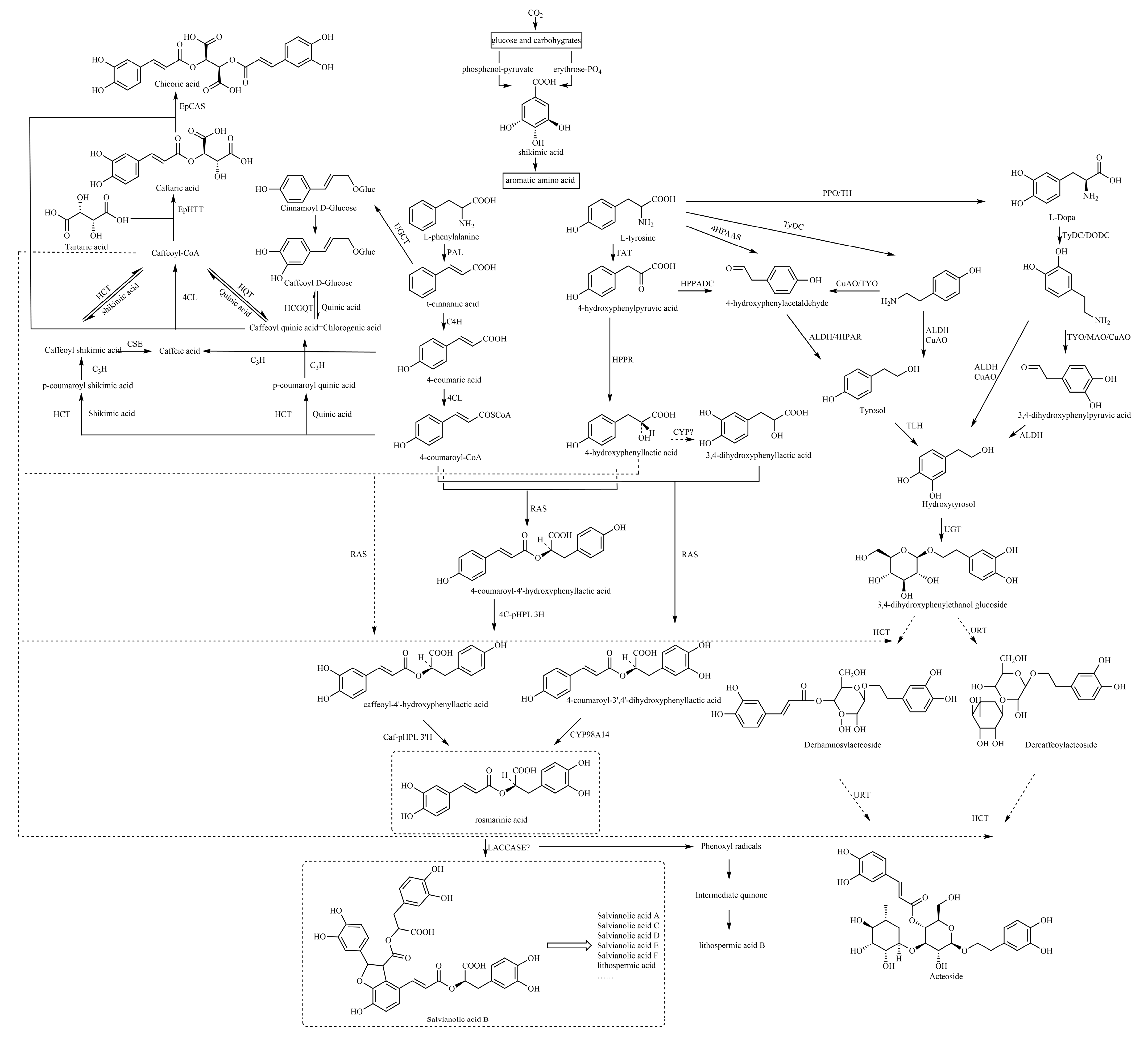 Molecules 29 01625 g001