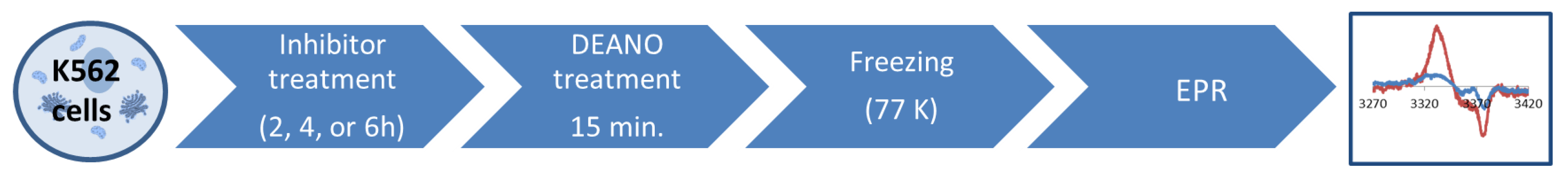 Molecules 29 01630 g011 Molecules 29 01630 g011