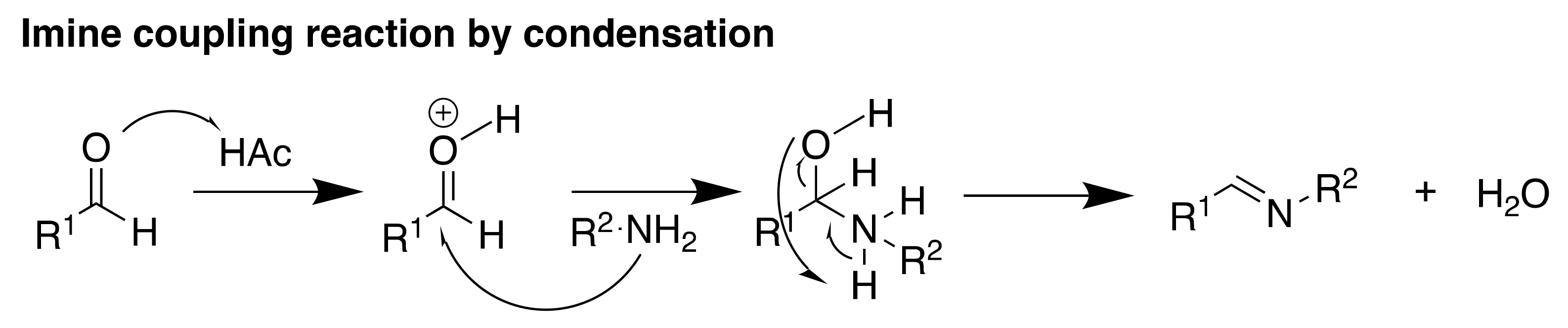 Molecules 29 01637 sch002