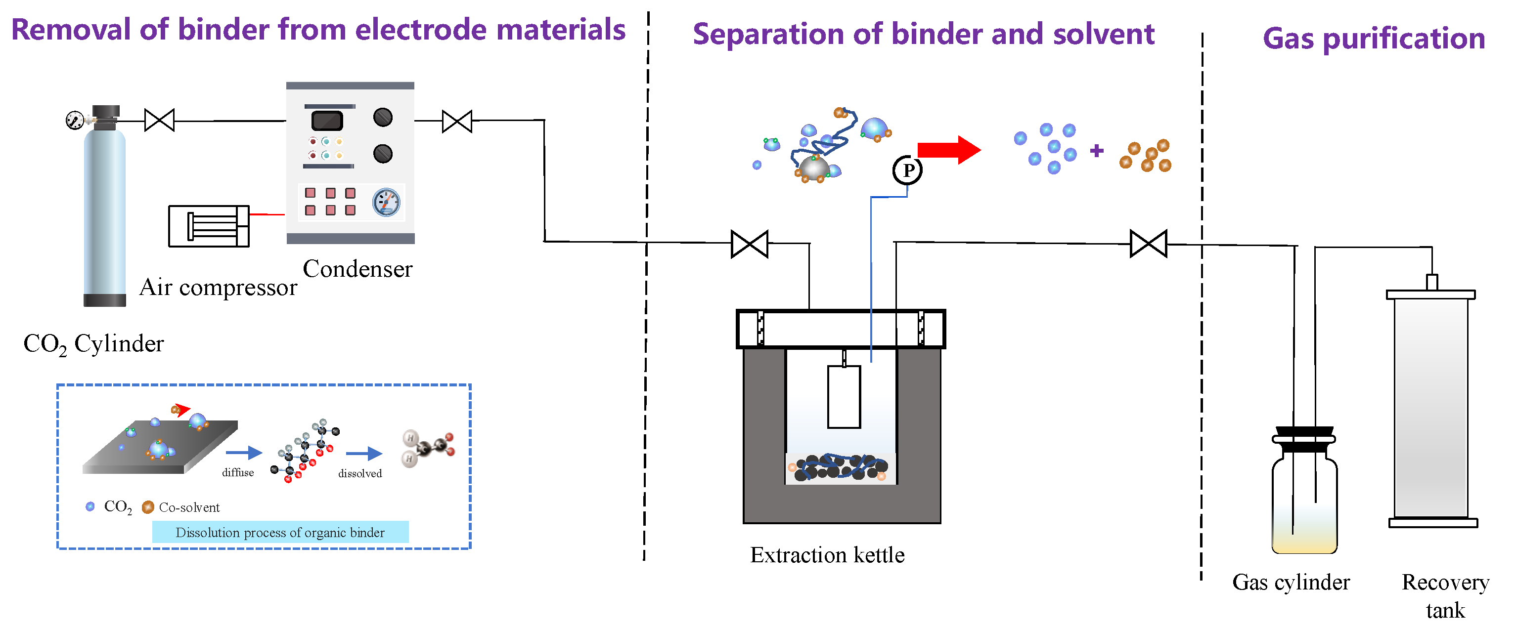 Molecules 29 01638 g010
