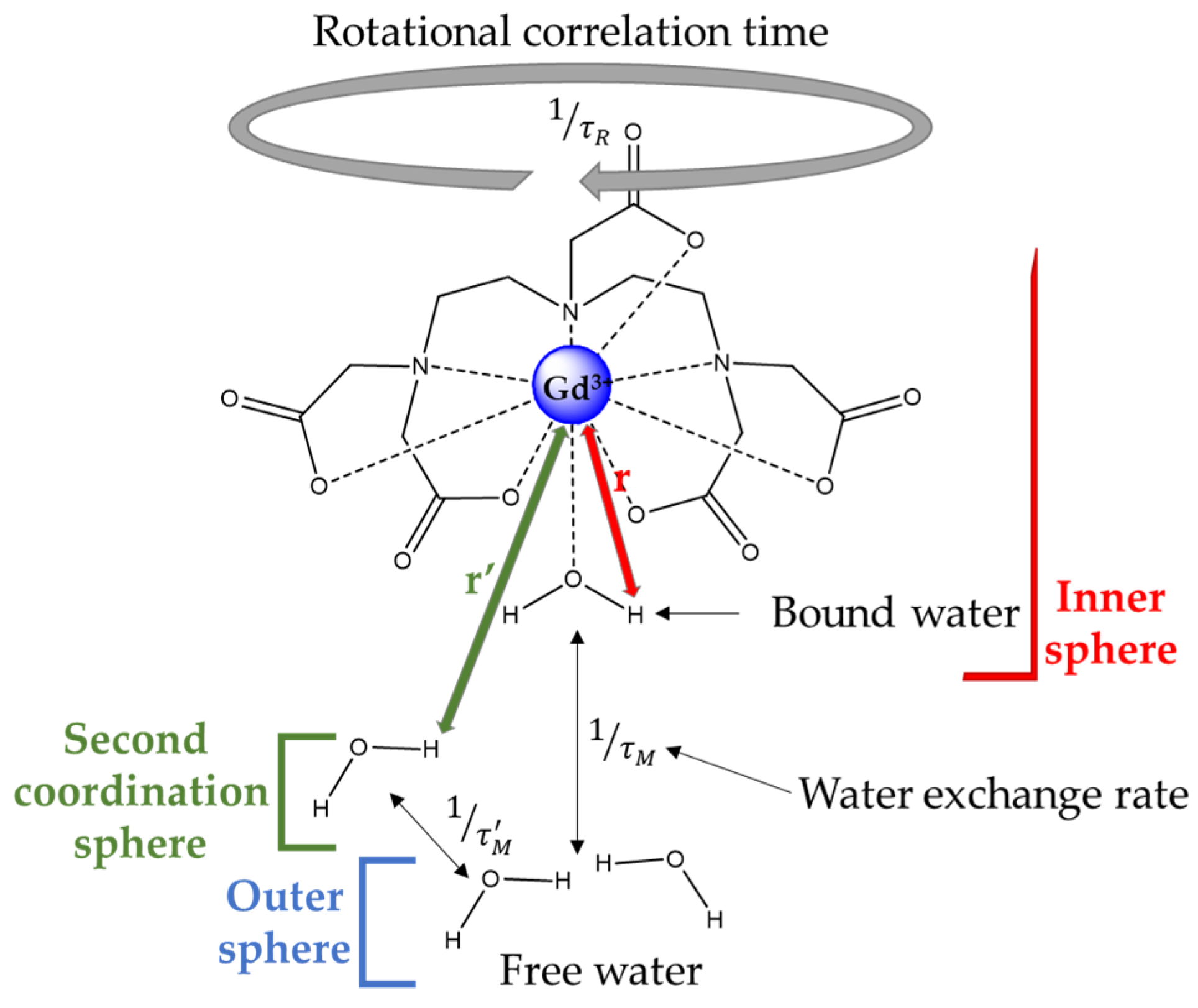 Molecules 29 01639 g002