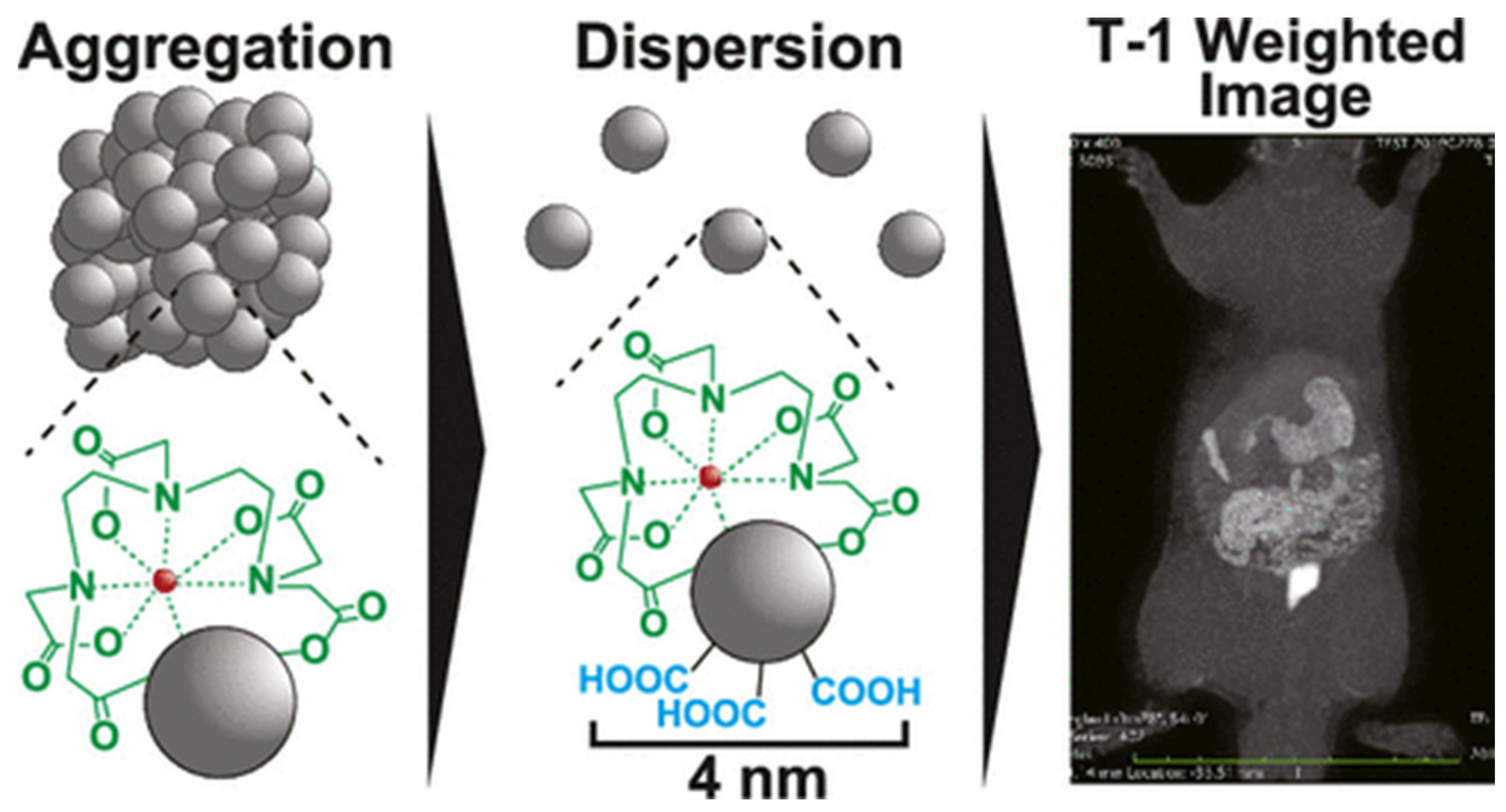 Molecules 29 01639 g006