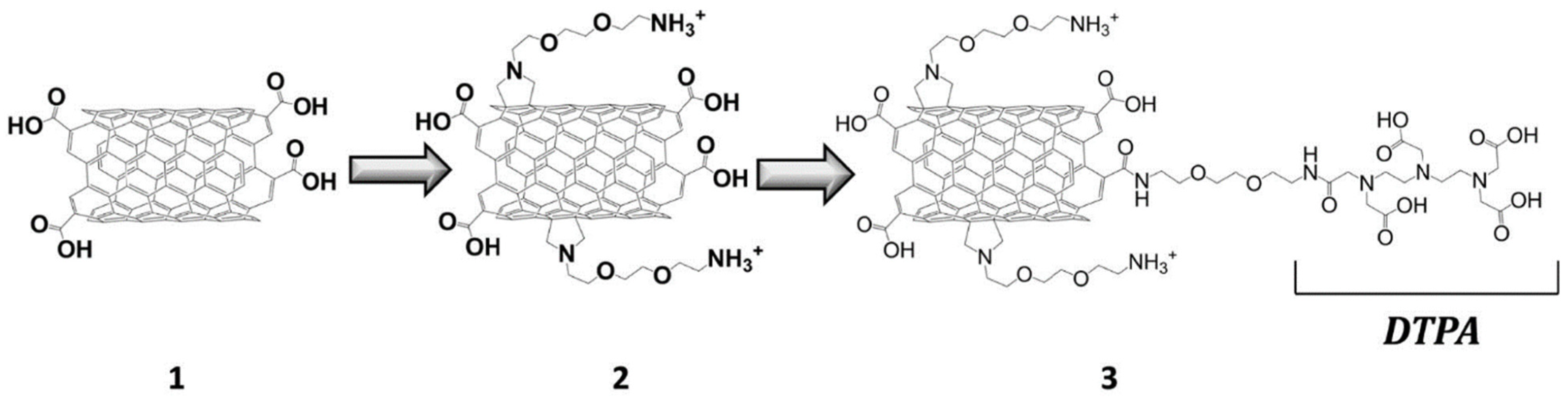 Molecules 29 01639 g007