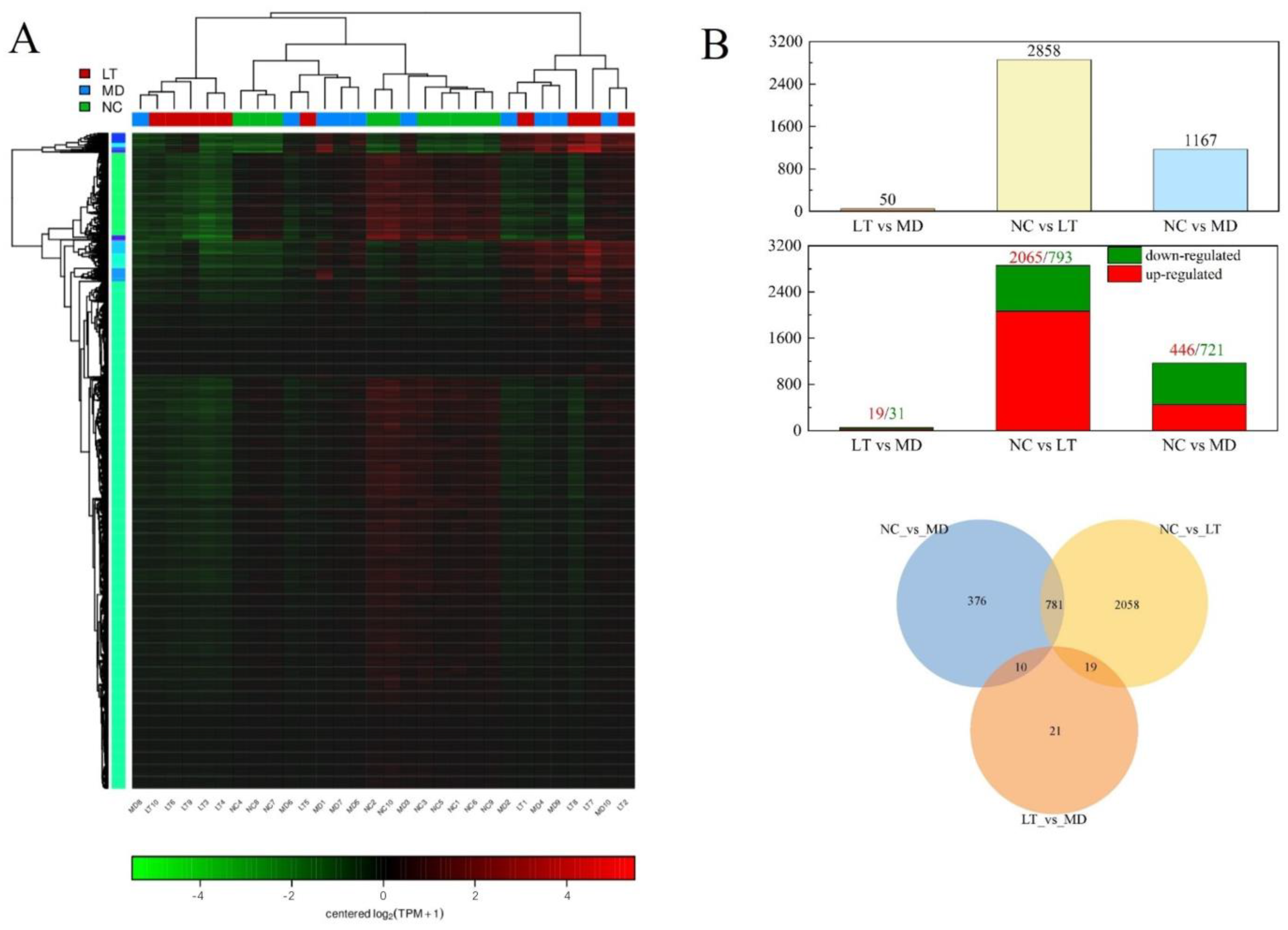Molecules 29 01641 g004