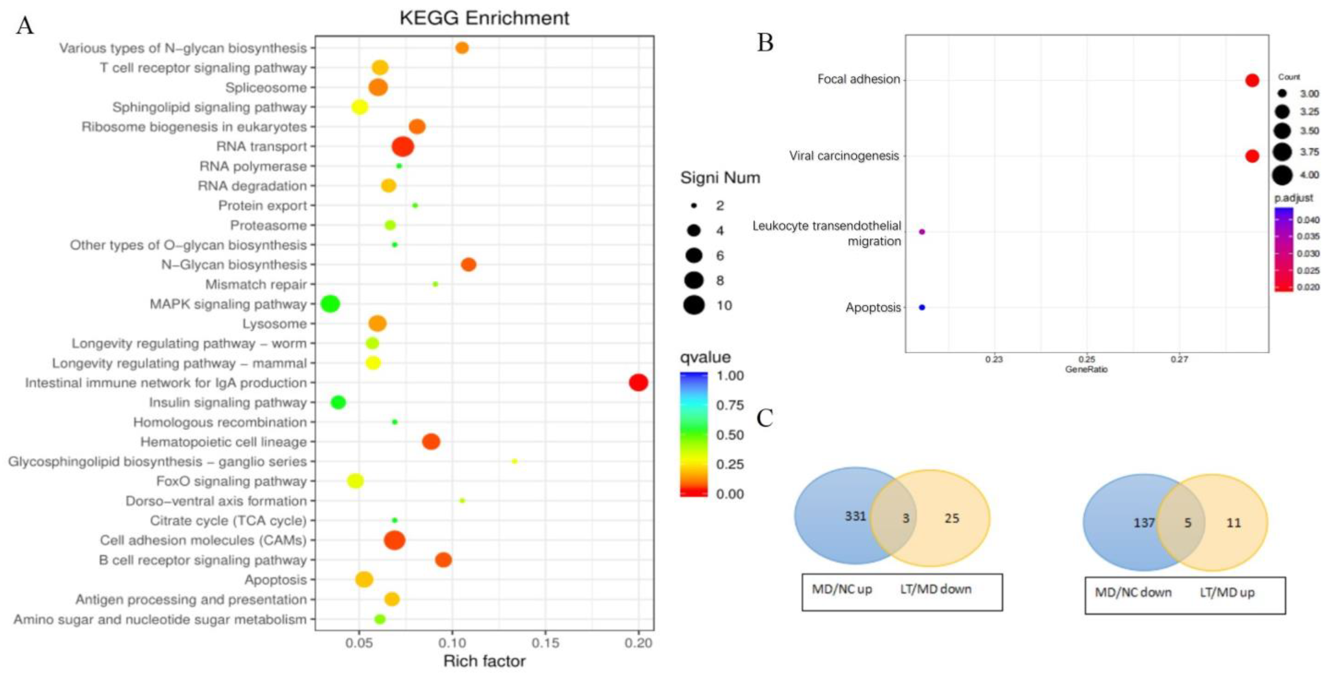 Molecules 29 01641 g005
