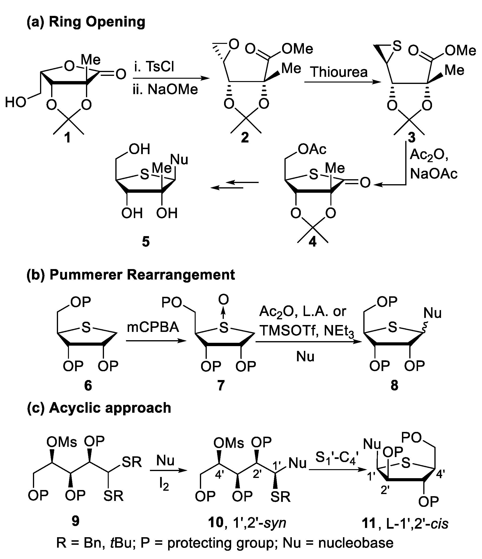 Molecules 29 01647 sch001