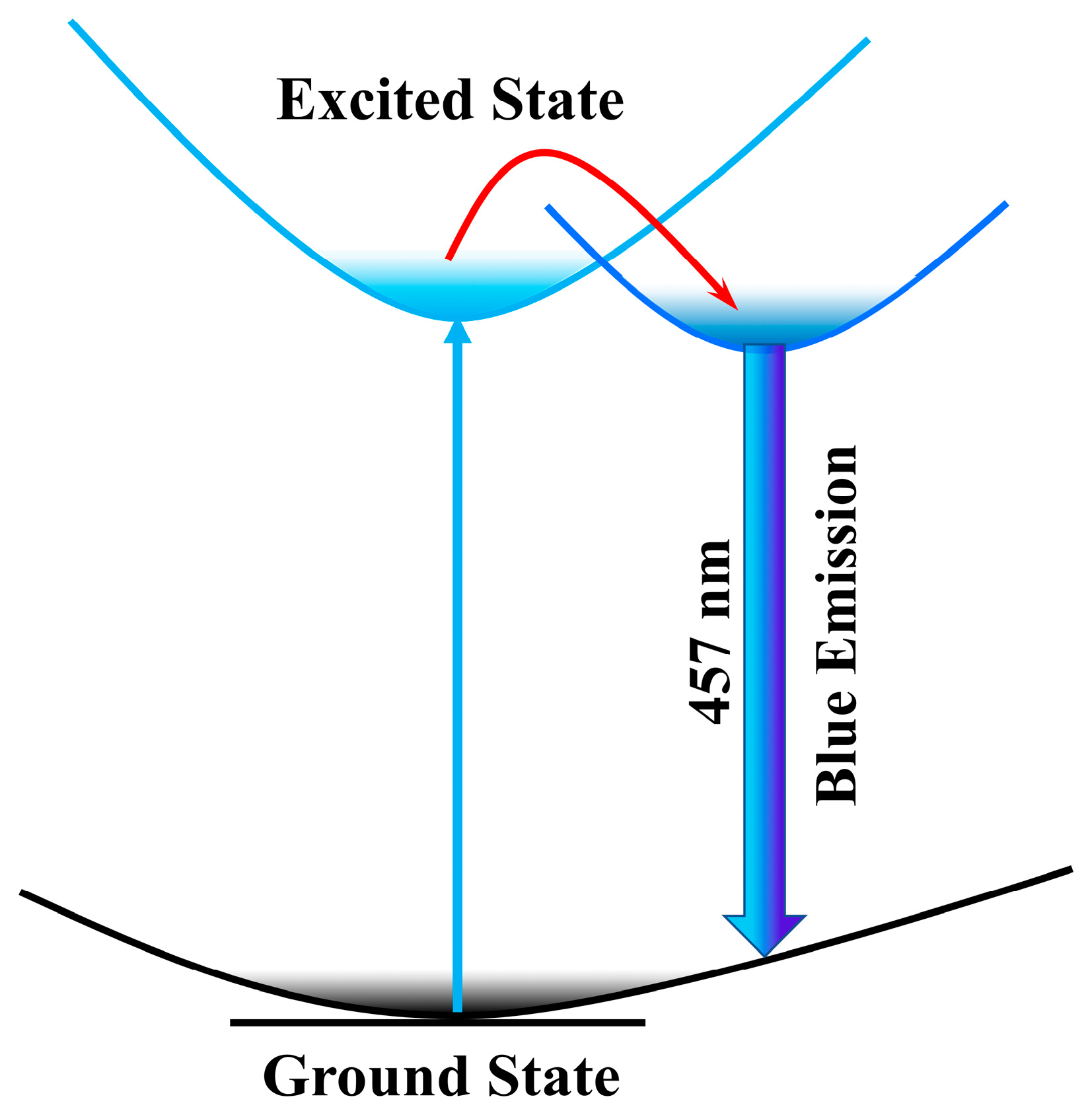 Molecules 29 01651 g005