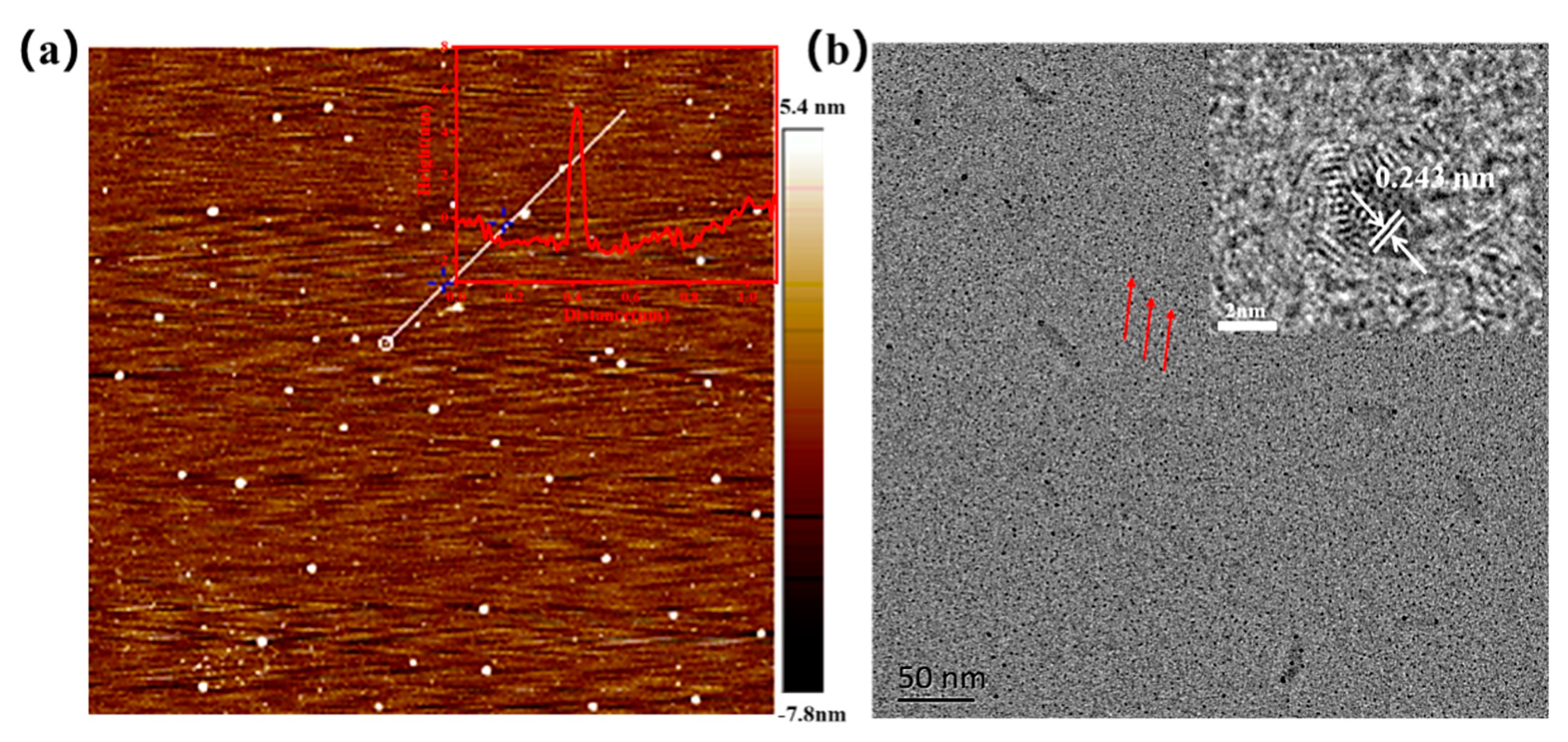 Molecules 29 01658 g002