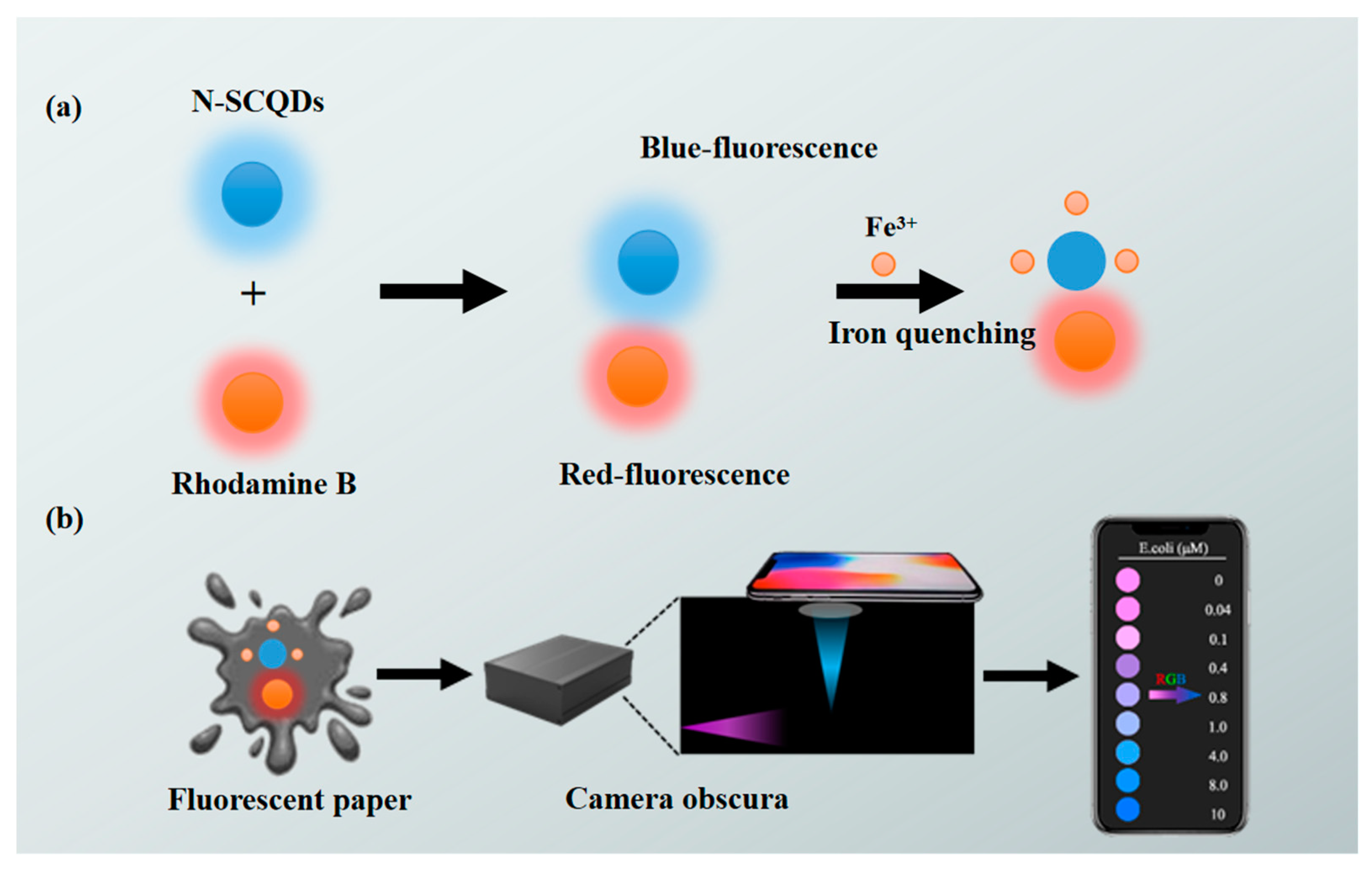 Molecules 29 01658 sch001