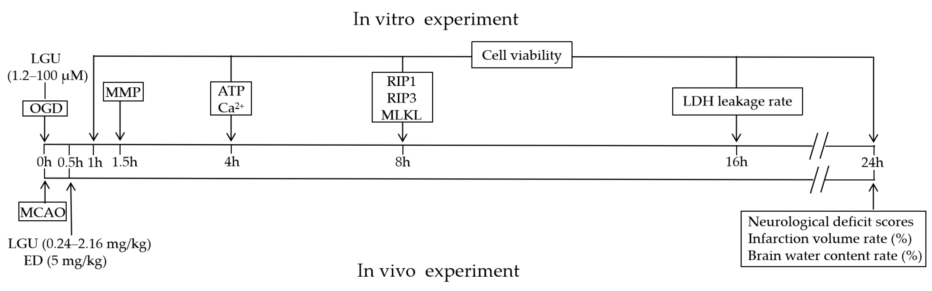 Molecules 29 01665 g002