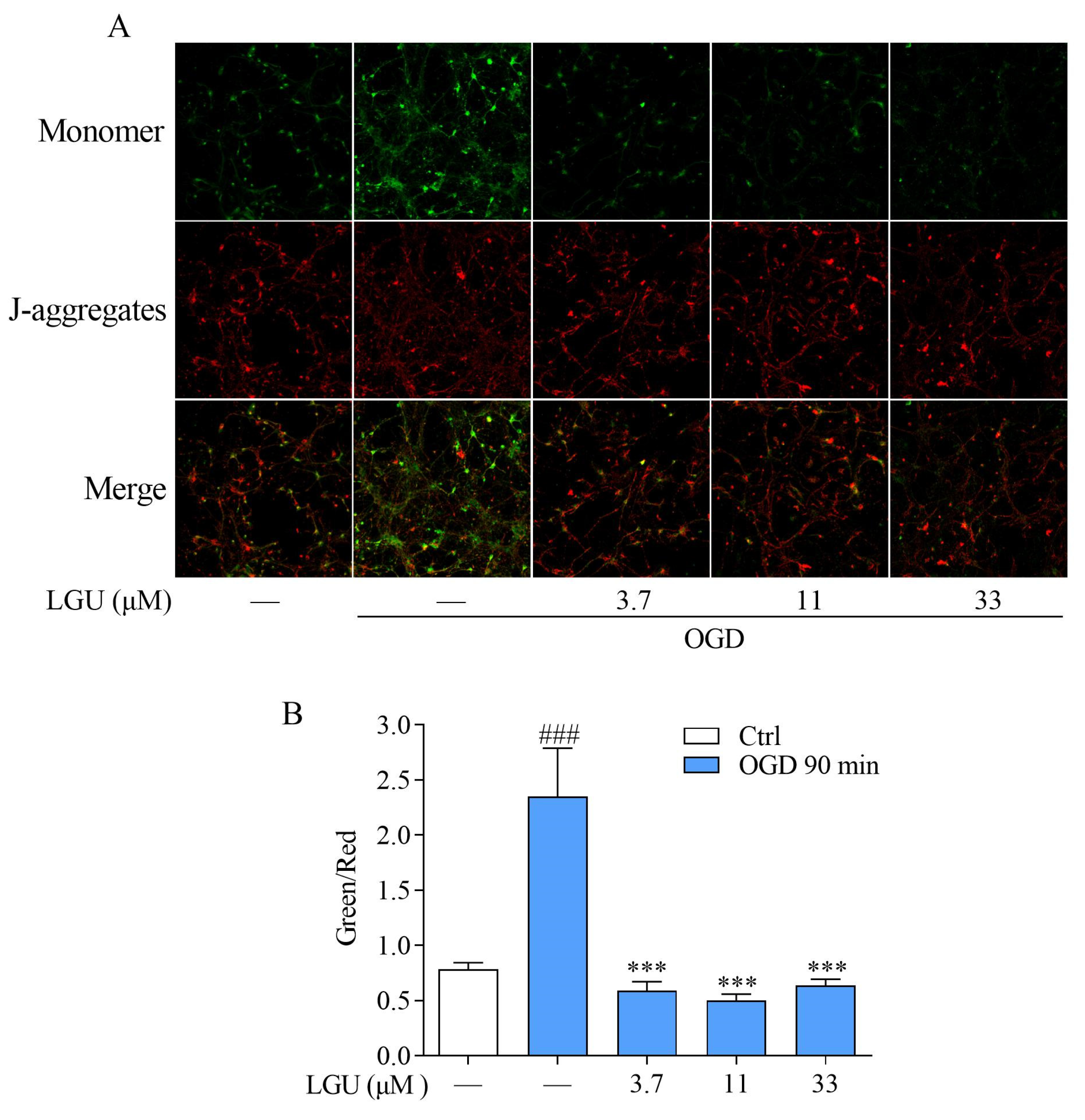 Molecules 29 01665 g007