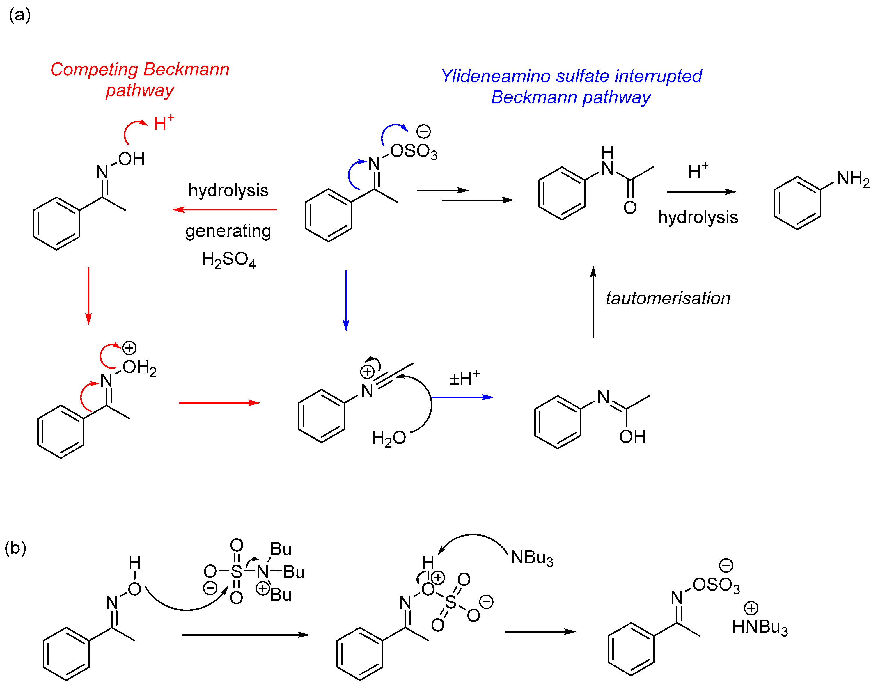 Molecules 29 01667 sch002