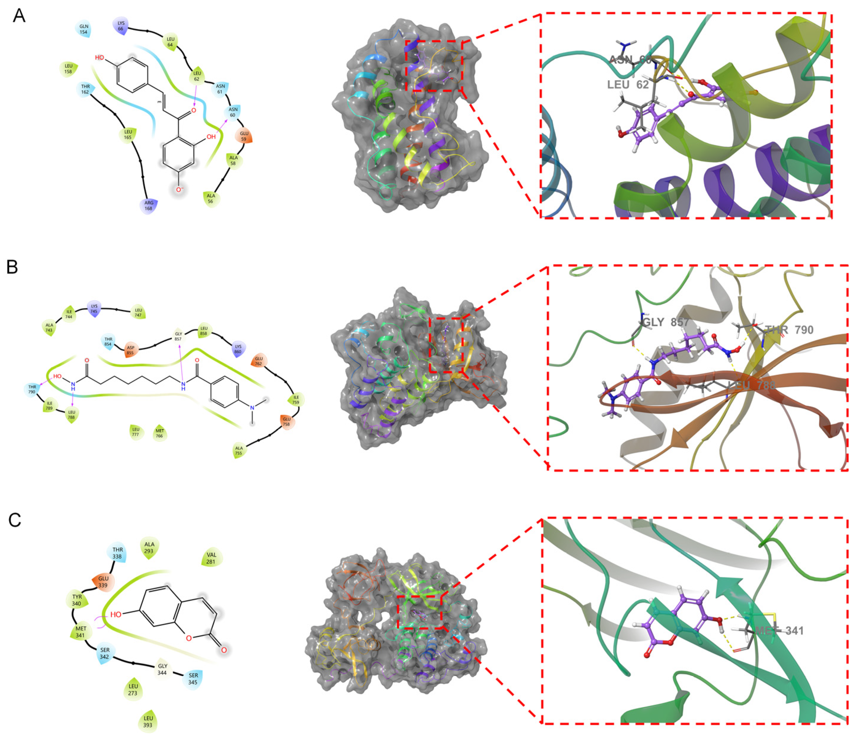 Molecules 29 01668 g007