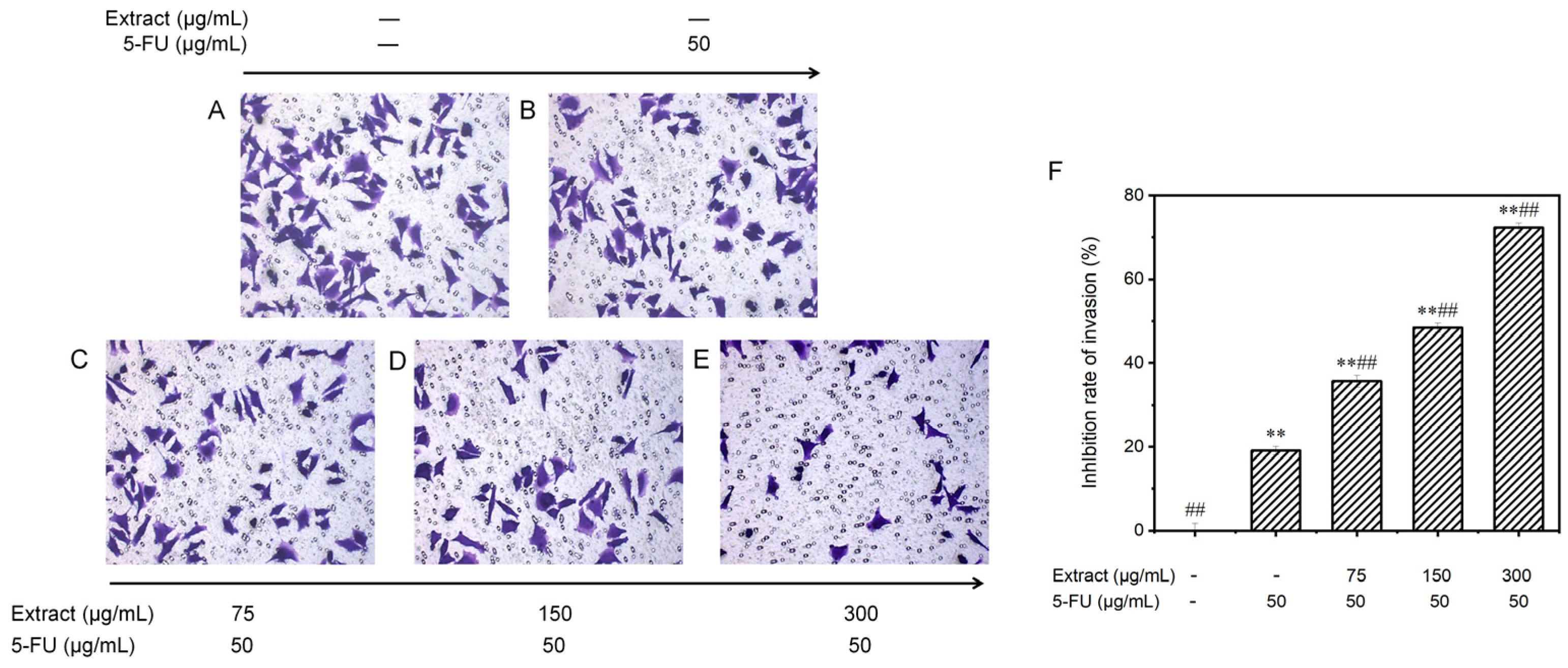 Molecules 29 01668 g009