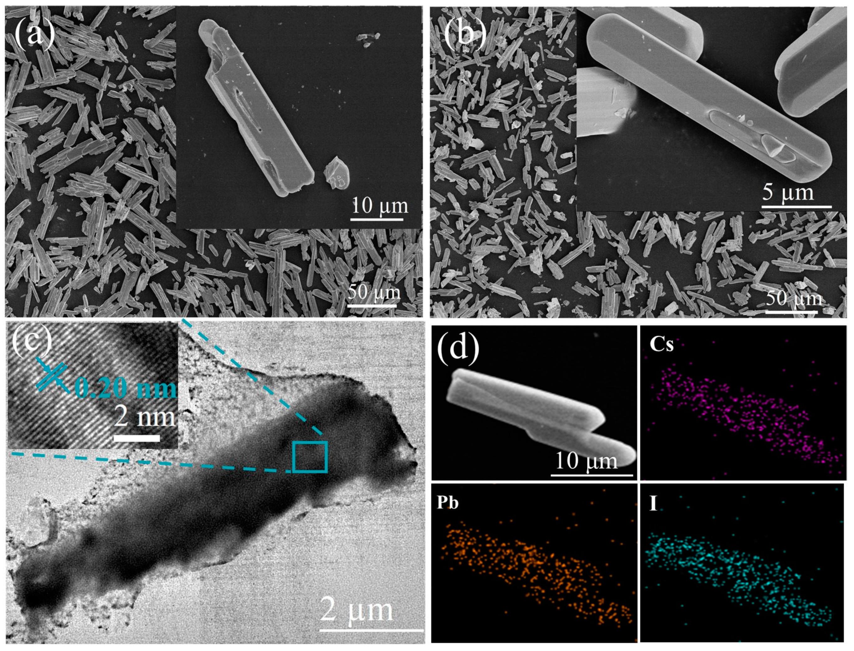Molecules 29 01670 g001