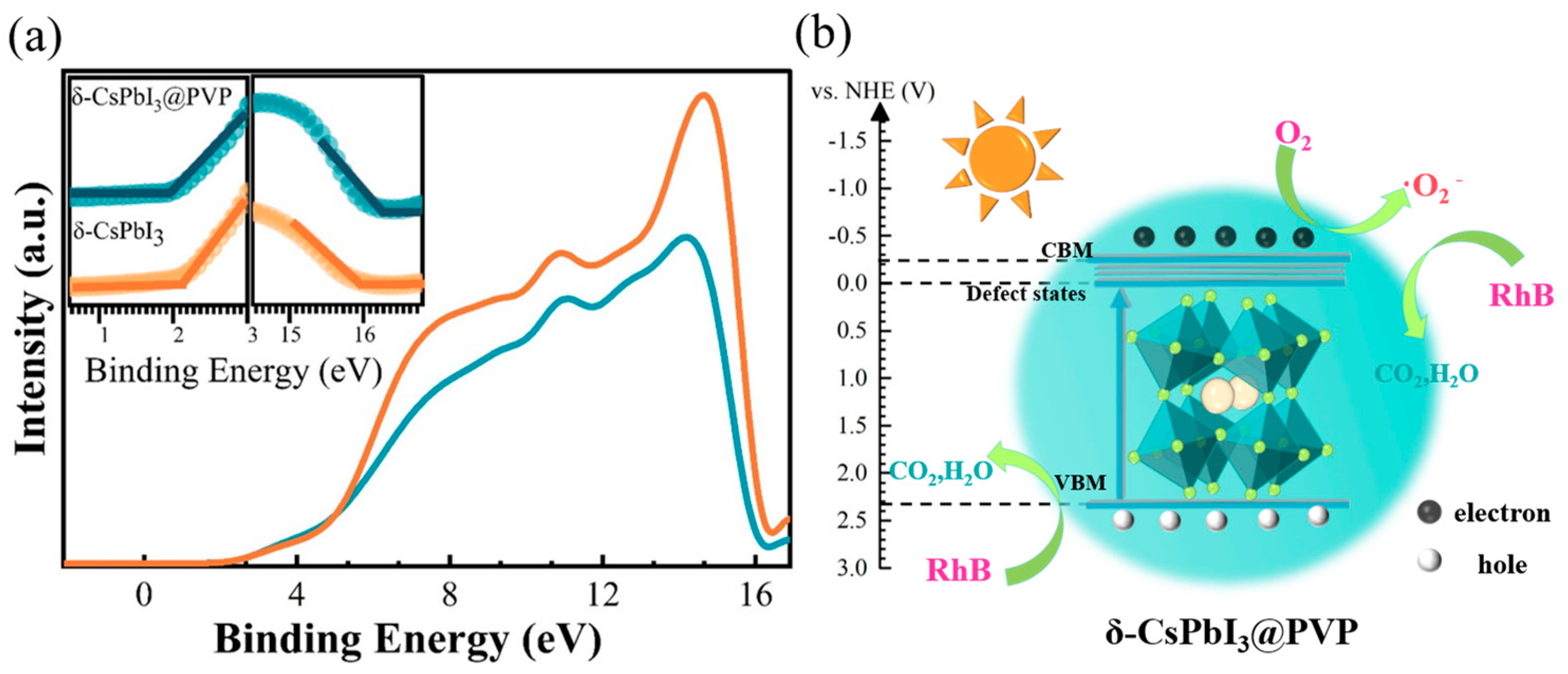 Molecules 29 01670 g006