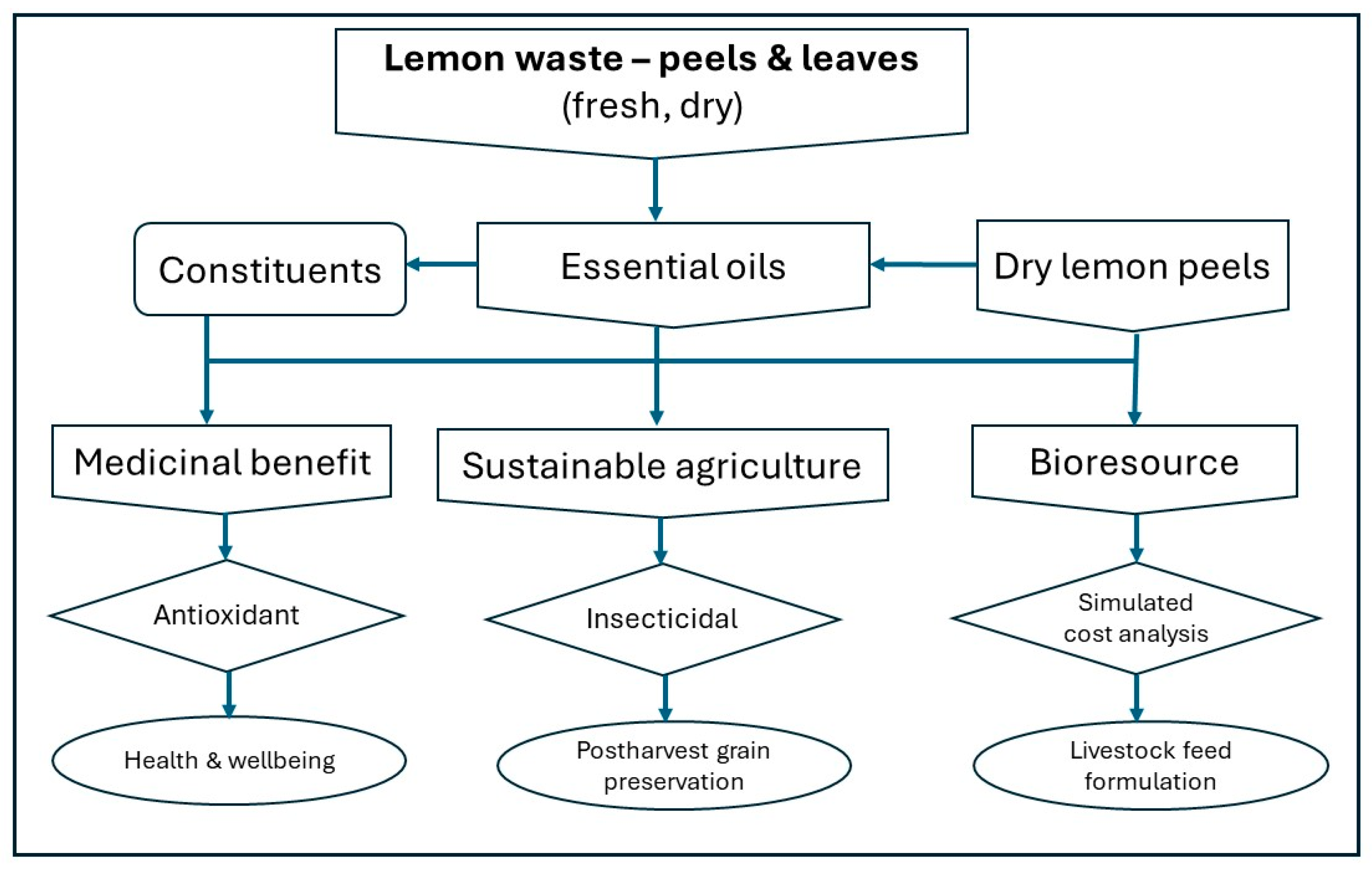 Molecules 29 01675 g002