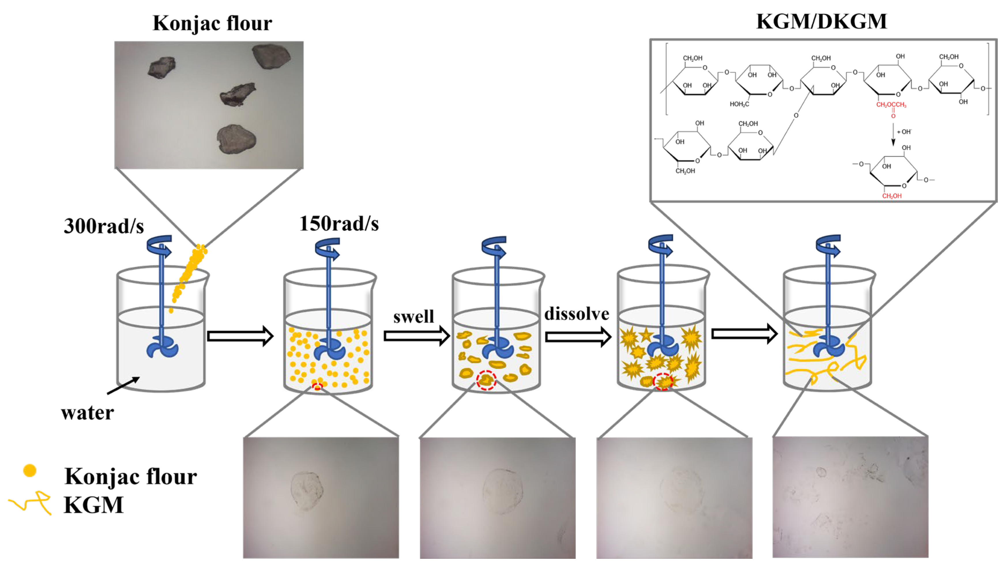 Molecules 29 01681 g002