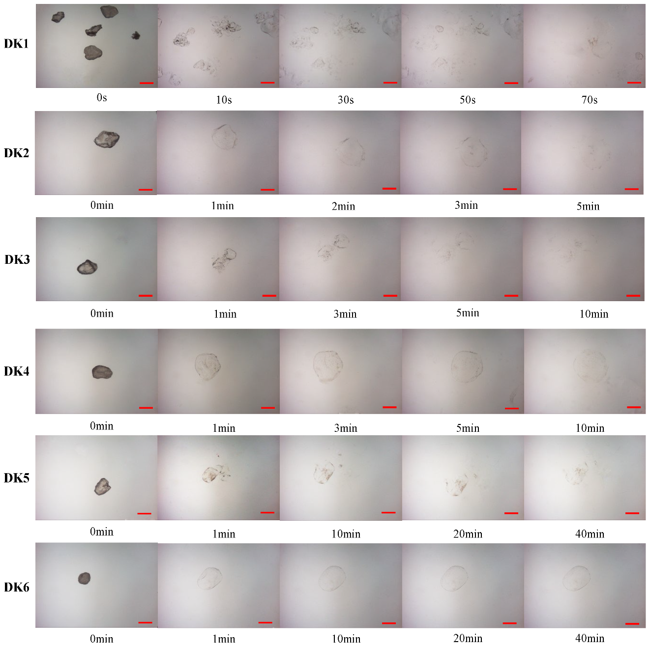 Molecules 29 01681 g003