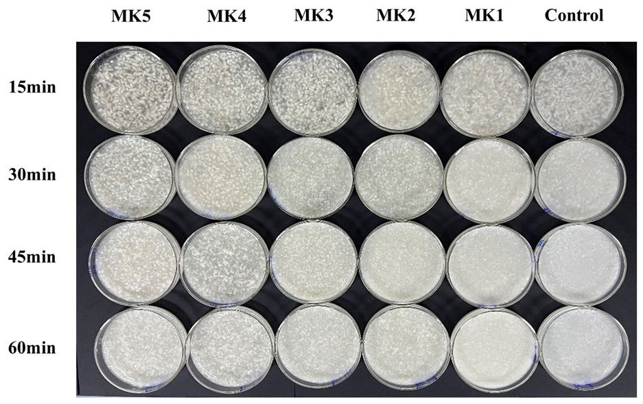 Molecules 29 01681 g007