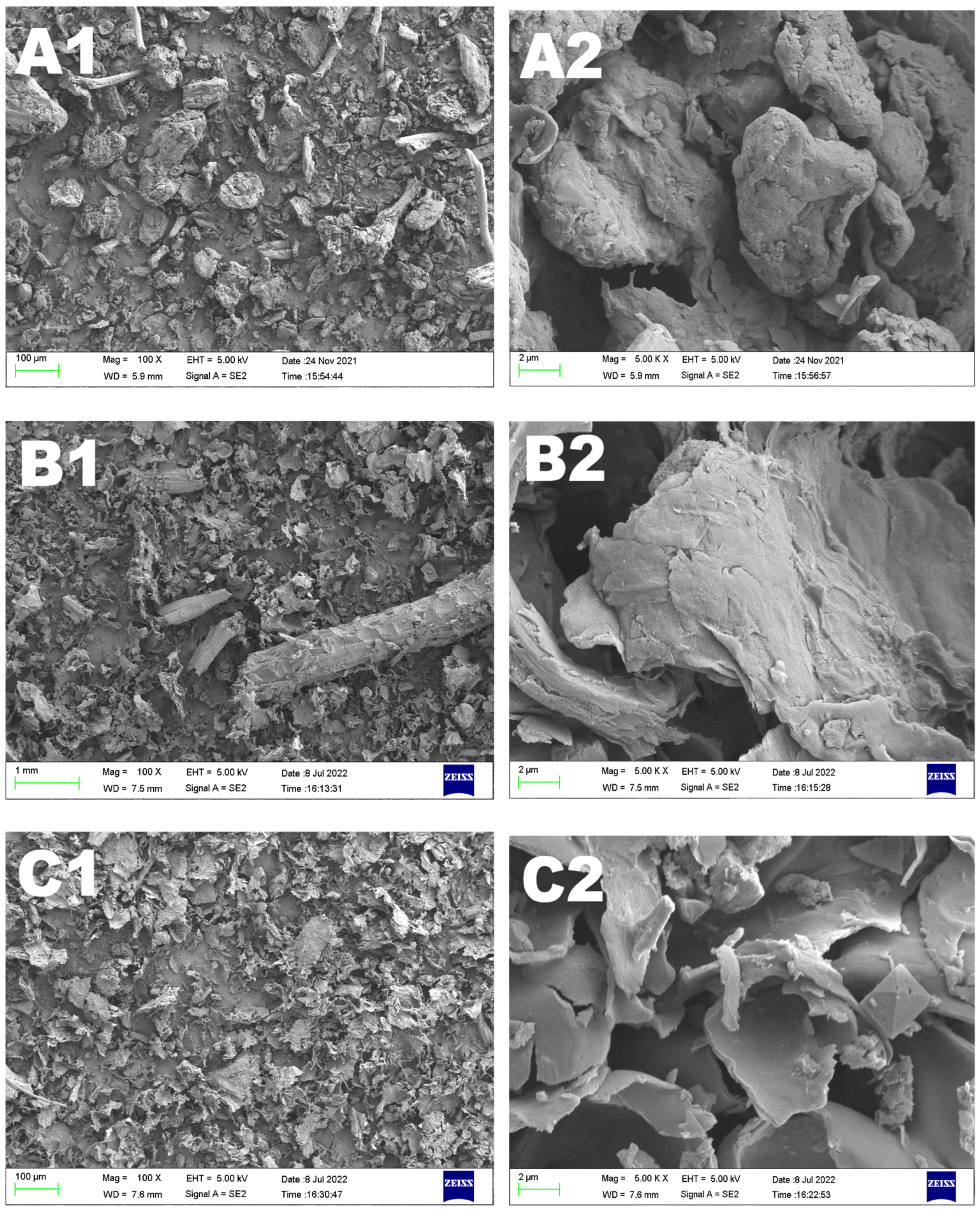 Molecules 29 01689 g003