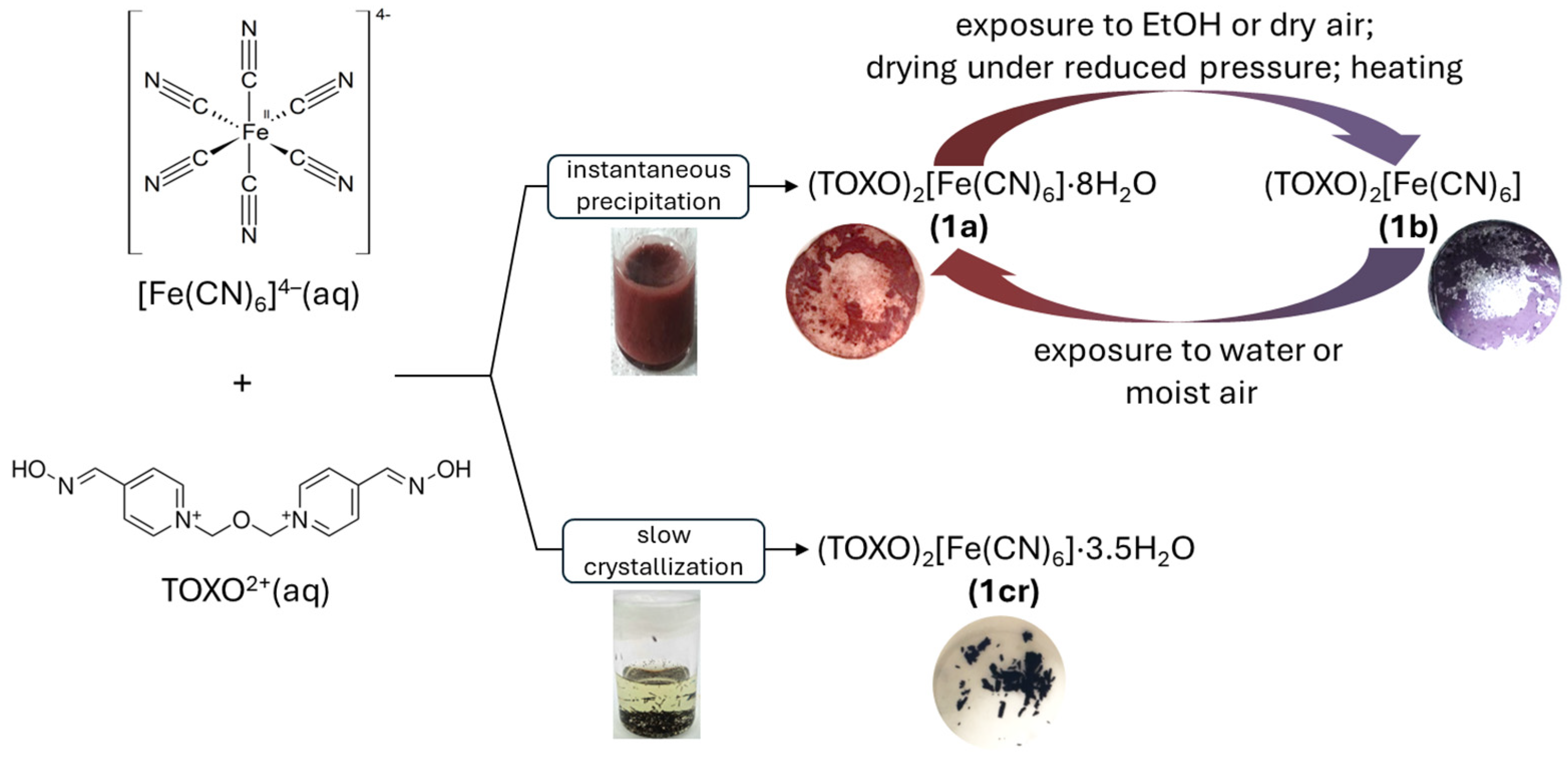 Molecules 29 01698 sch001