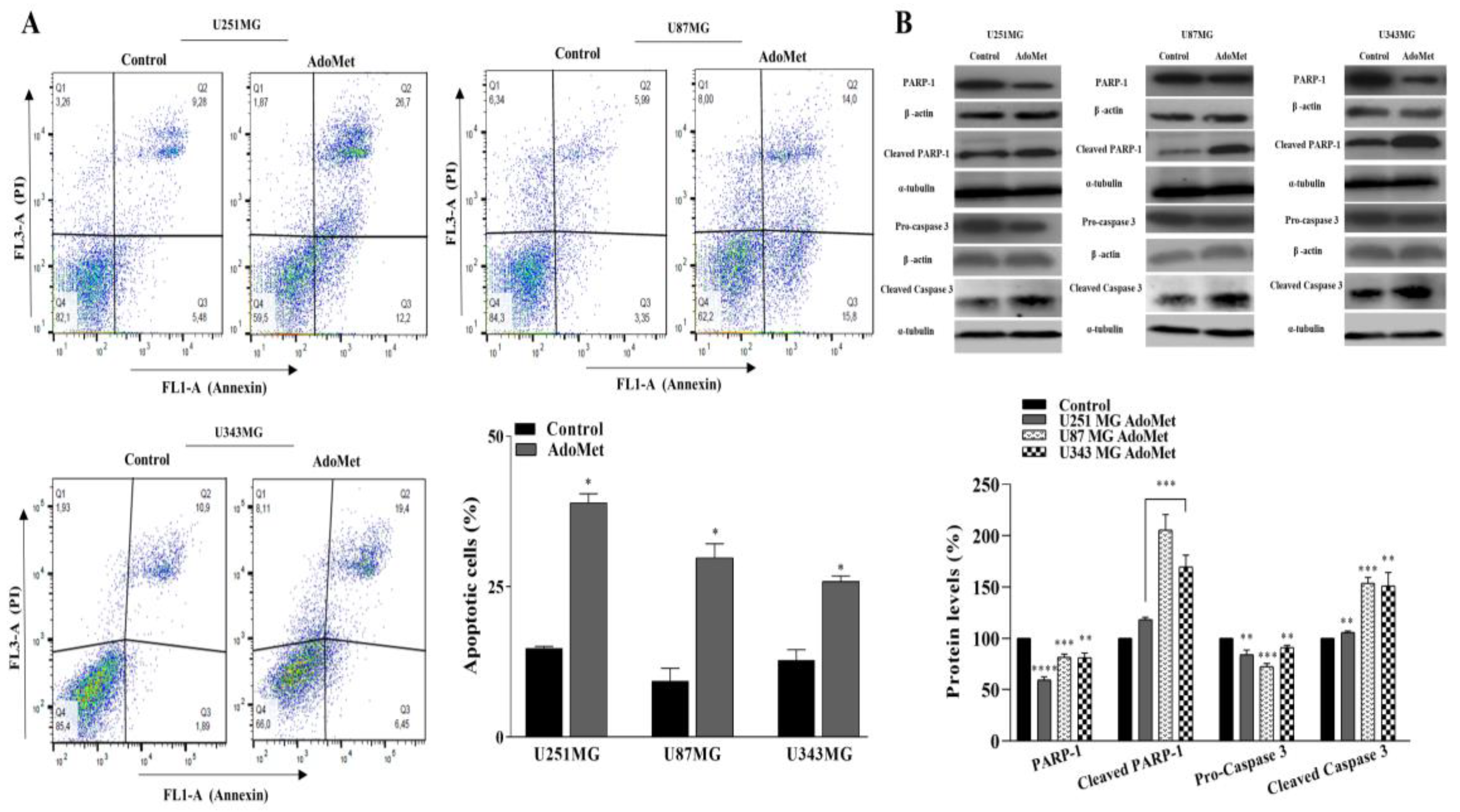 Molecules 29 01708 g004 Molecules 29 01708 g004