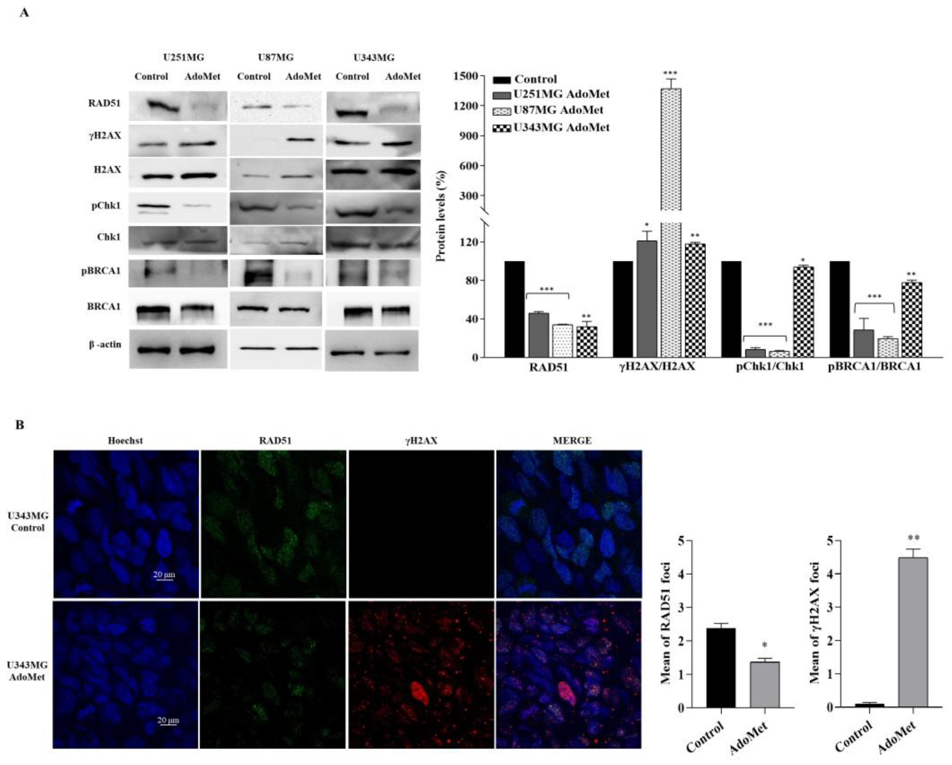 Molecules 29 01708 g005 Molecules 29 01708 g005