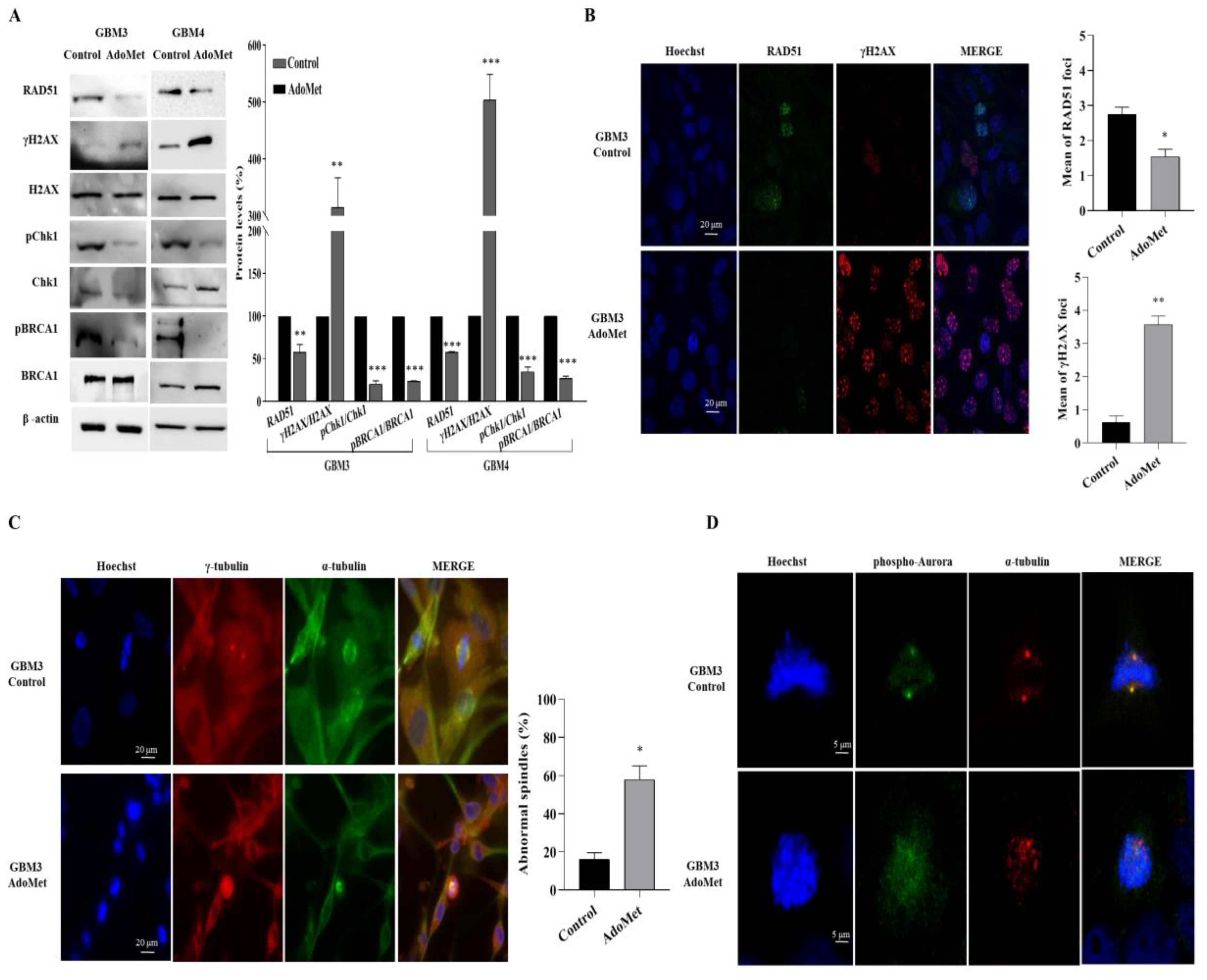 Molecules 29 01708 g008 Molecules 29 01708 g008