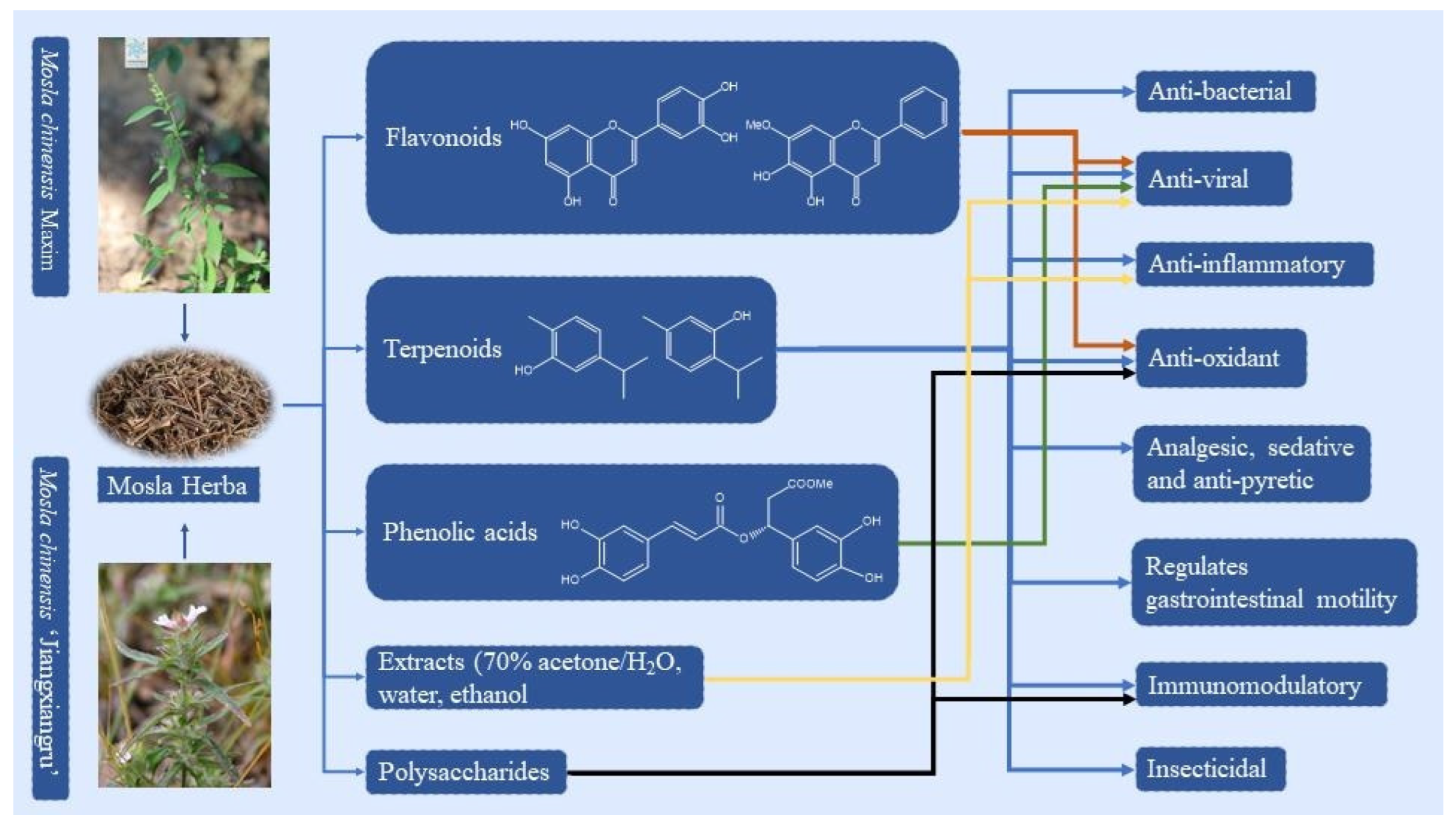 Molecules 29 01716 g001